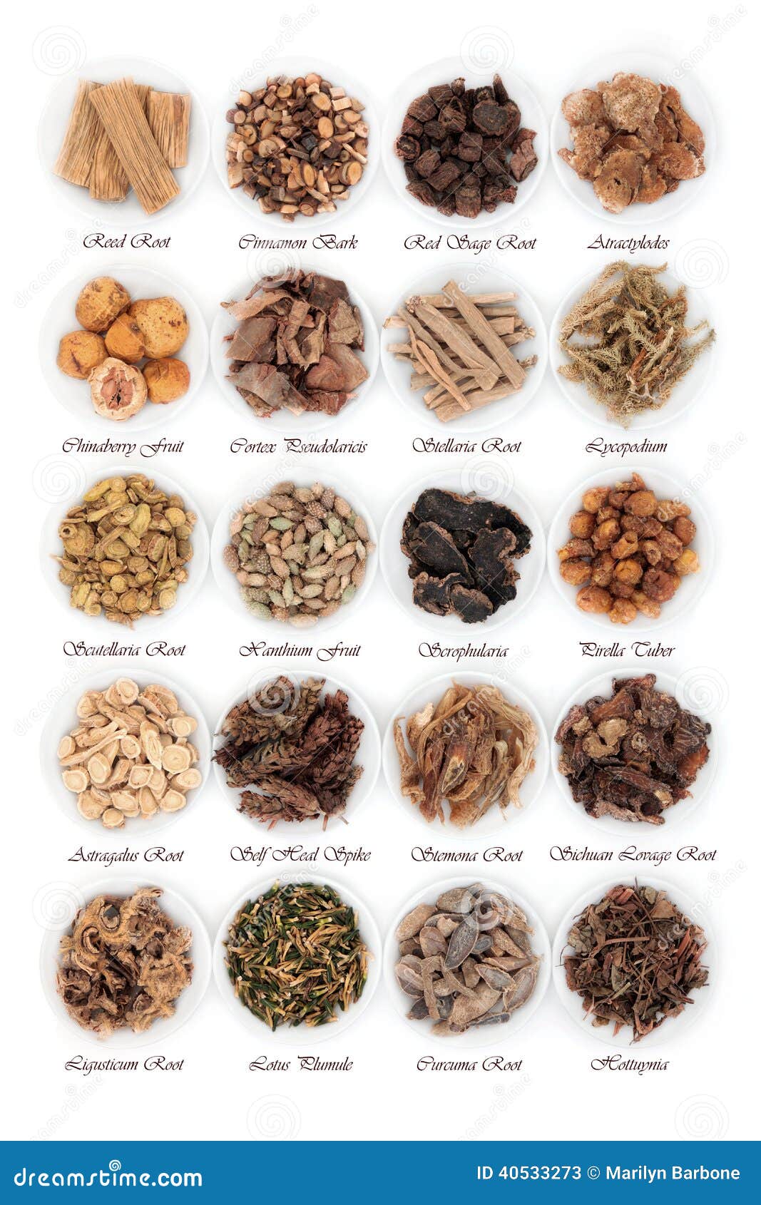 Chinese Herbs Stock