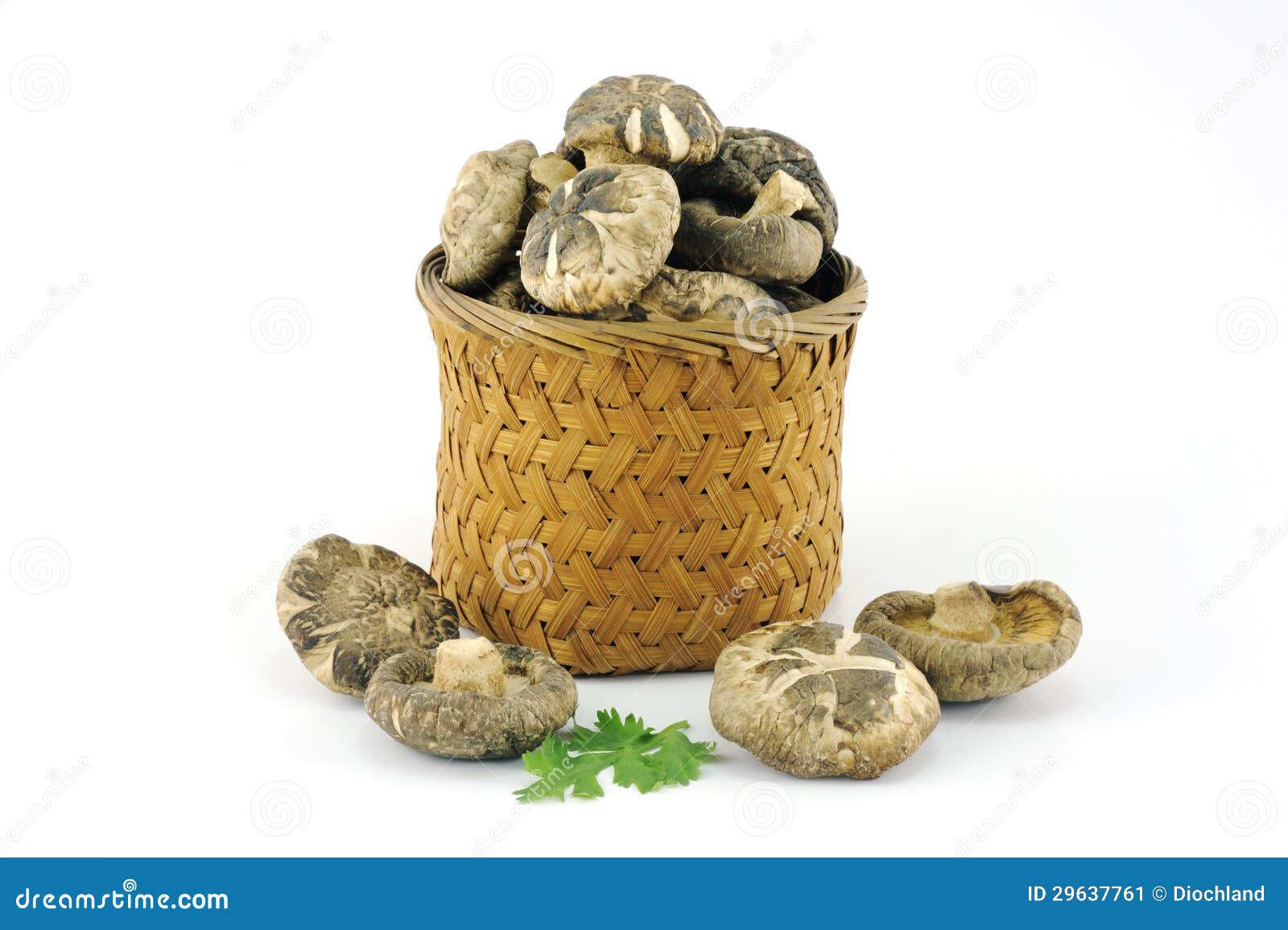 Chinese Ingredient, Dried Mushroom in Basket Stock Image Image of