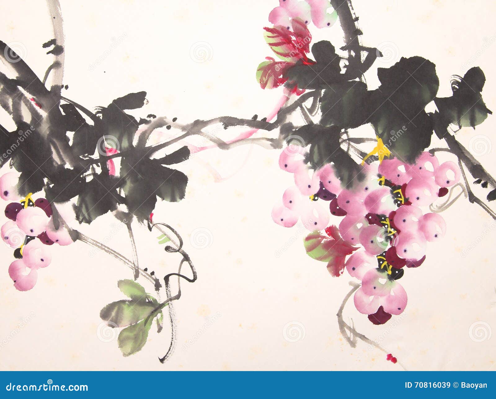 Chinese ink grape drawing stock illustration. Illustration of hand