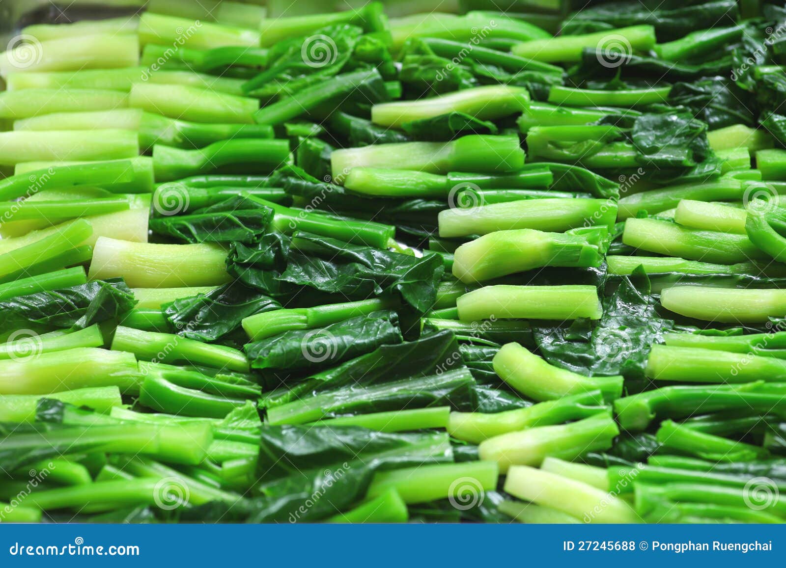 Chinese Kale stock photo. Image of preparation, ingredient 27245688