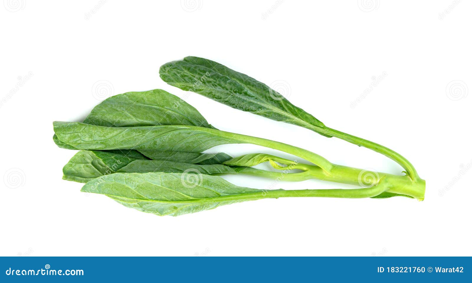 Chinese Kale Isolated on White Background ,Green Leaves of Collards