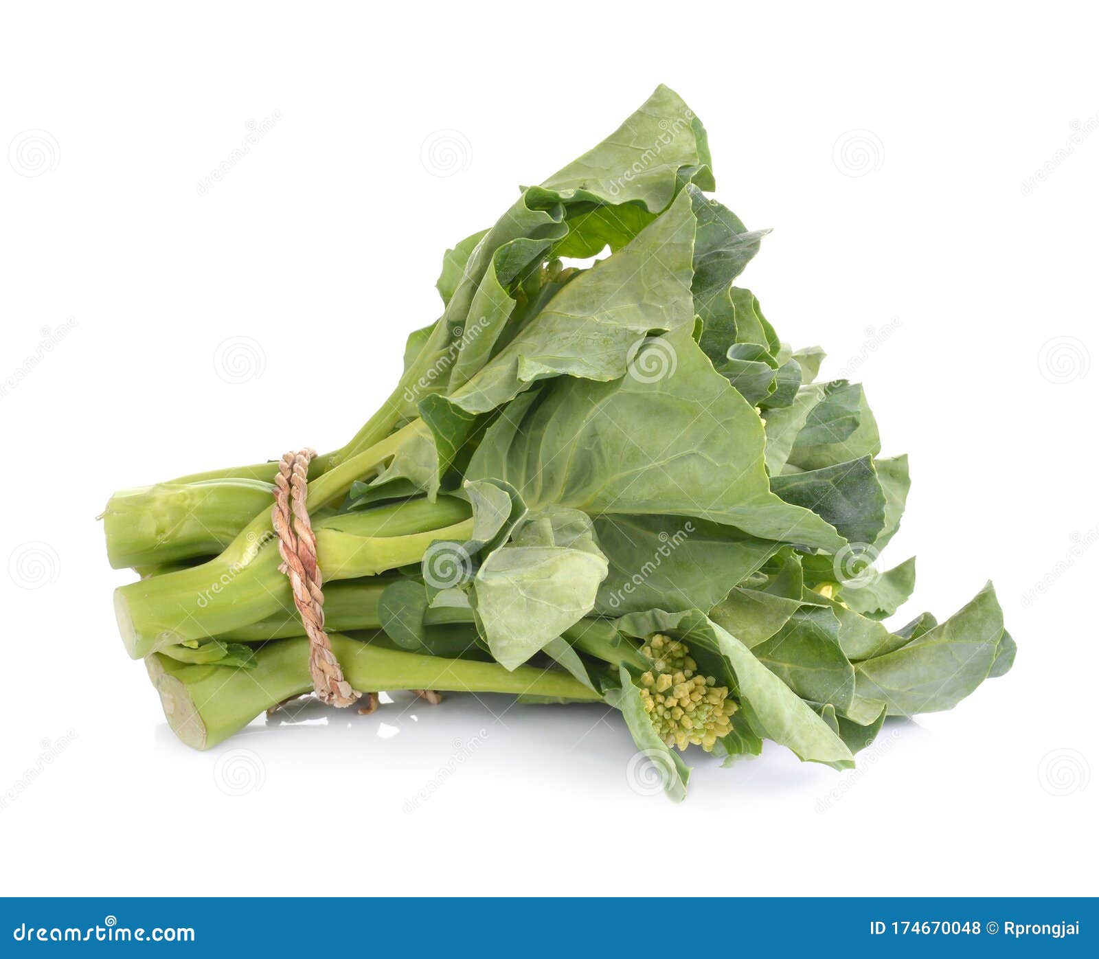 Chinese kale vegetable stock photo. Image of vegetarian 174670048