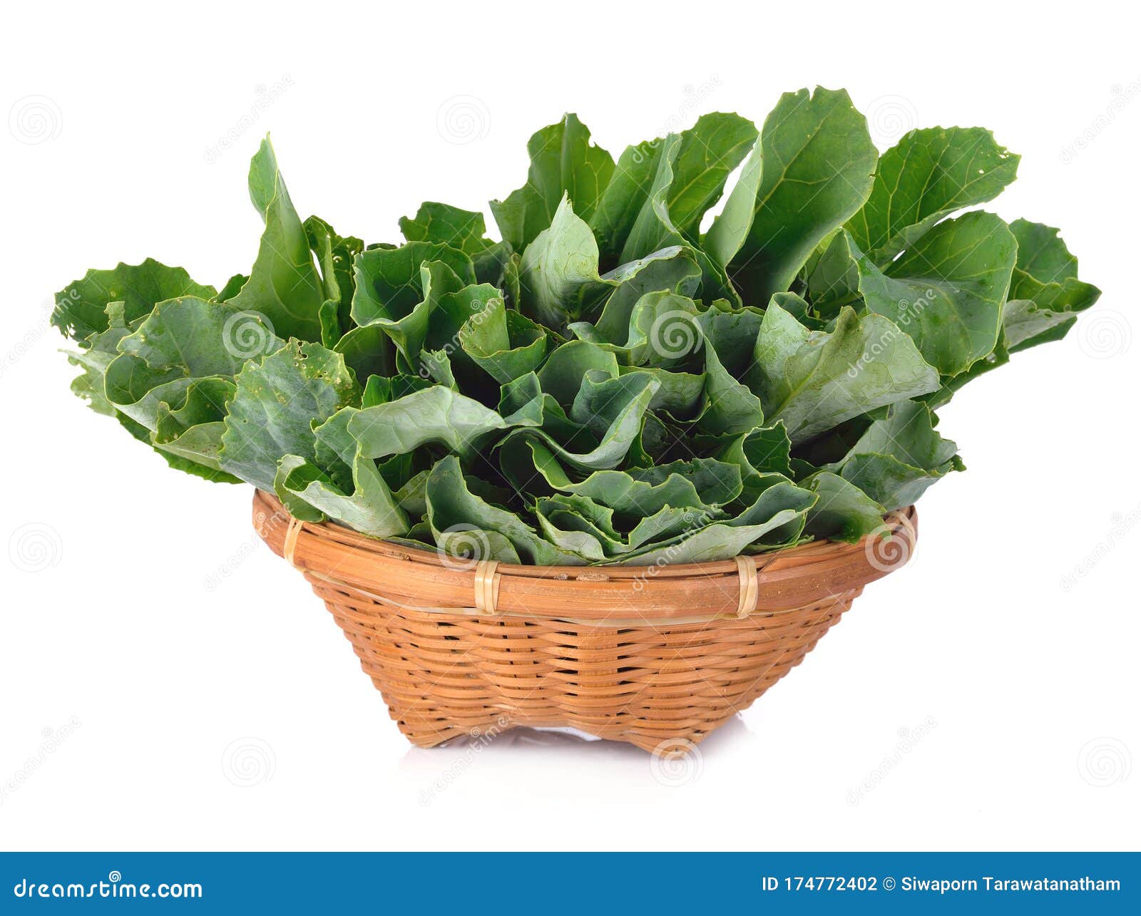 Chinese Kale Vegetable Isolated on White Background Stock Photo Image