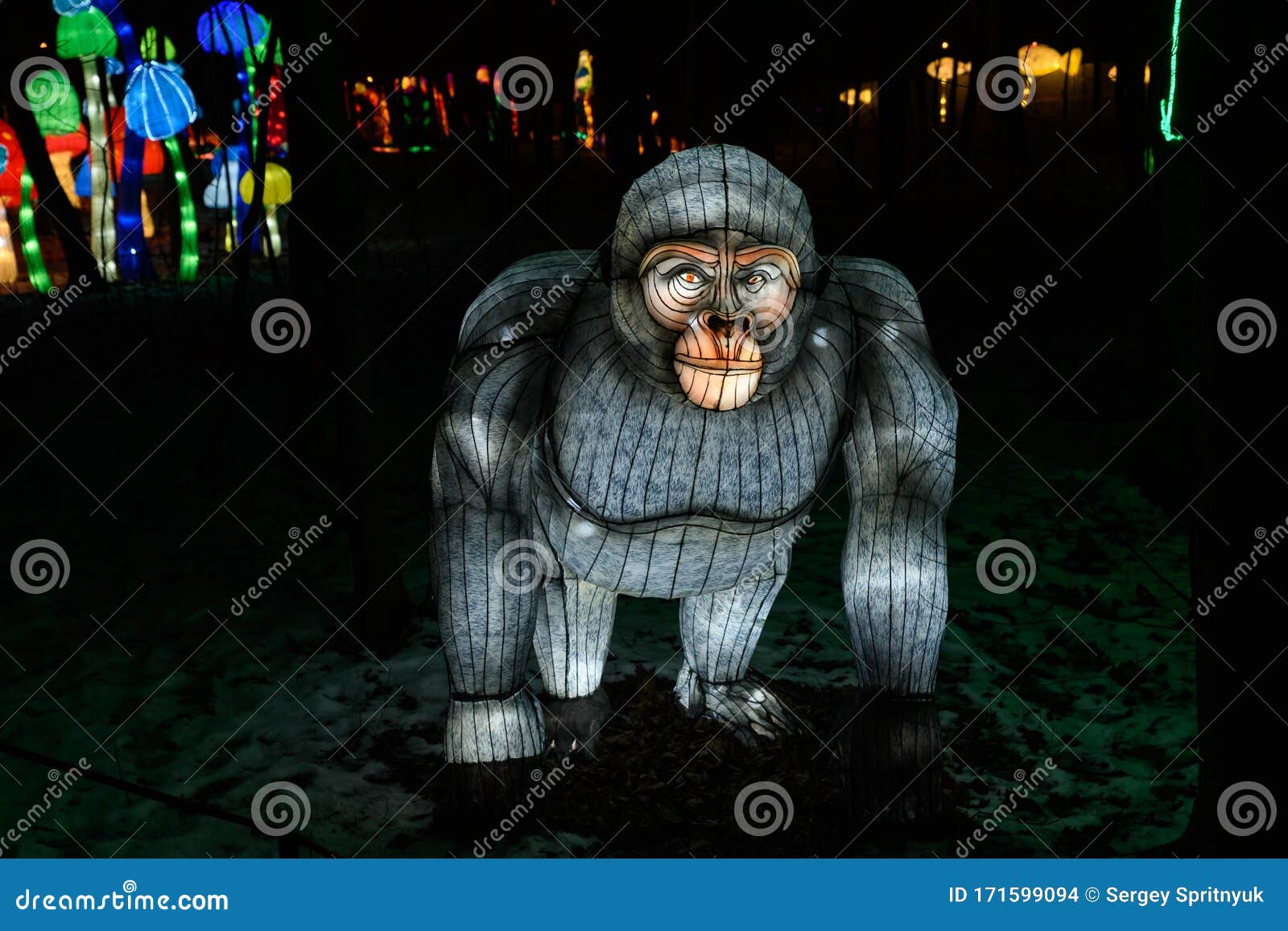 Chinese Festival Gorilla with on Black Background Editorial Stock Image - Image of ethnic, lampion: