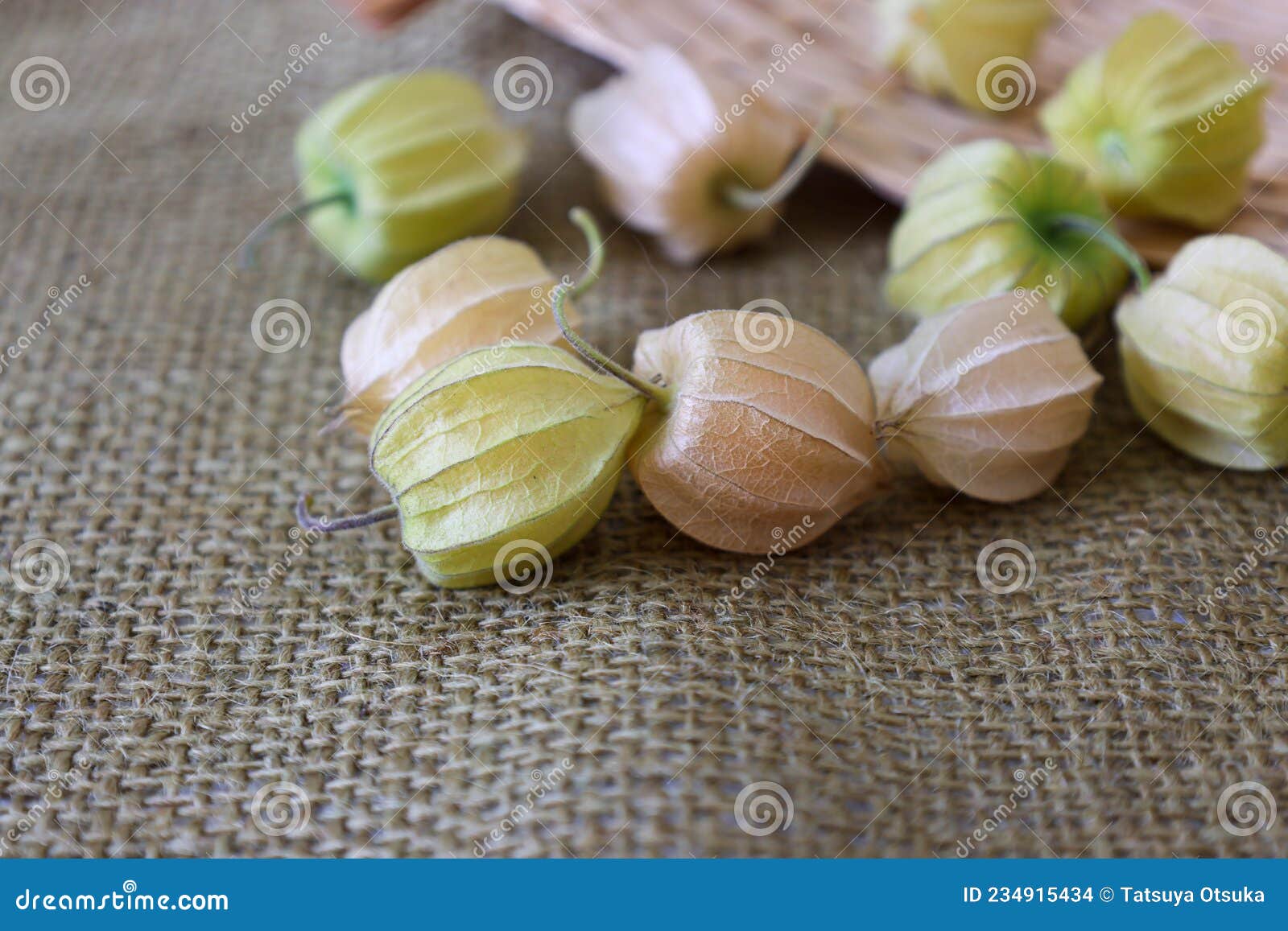 Chinese Lantern Fruit for Eating on the Jute Cloth Stock Photo Image