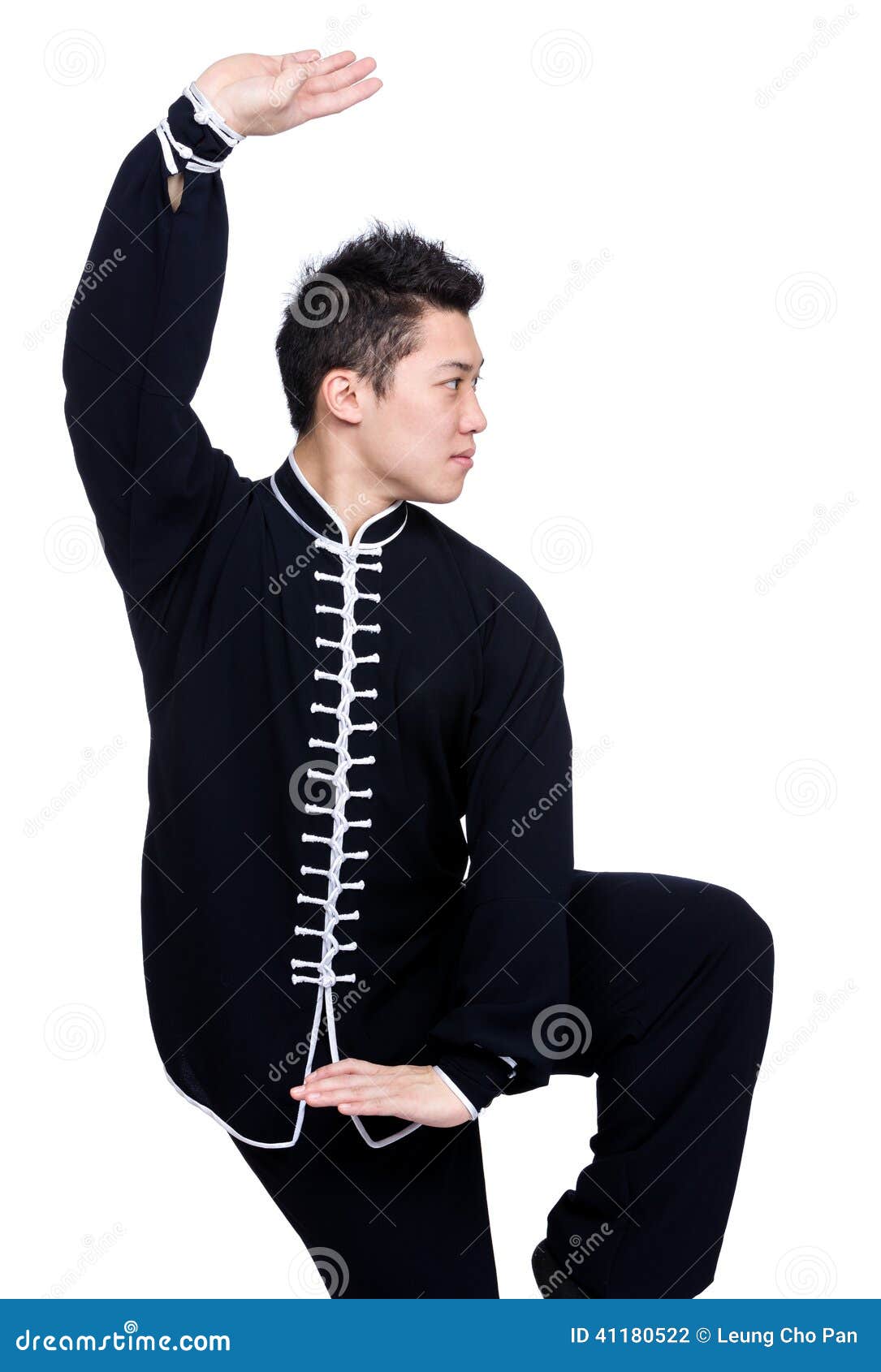Chinese Martial Art Fighter Stock Photo Image of gesture, attack 41180522