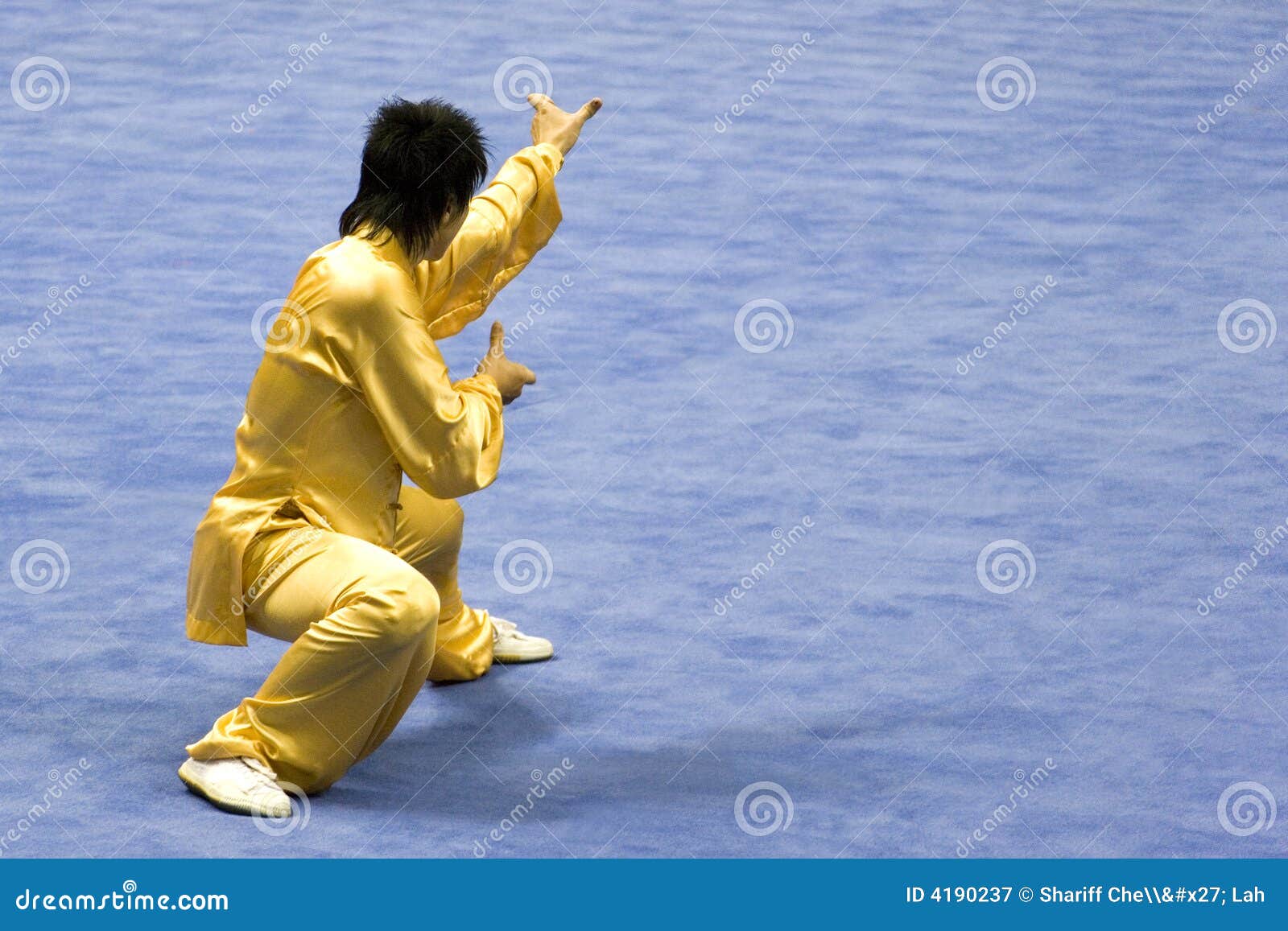Chinese Martial Arts (Wushu) Editorial Photography Image of chinese, oriental 4190237