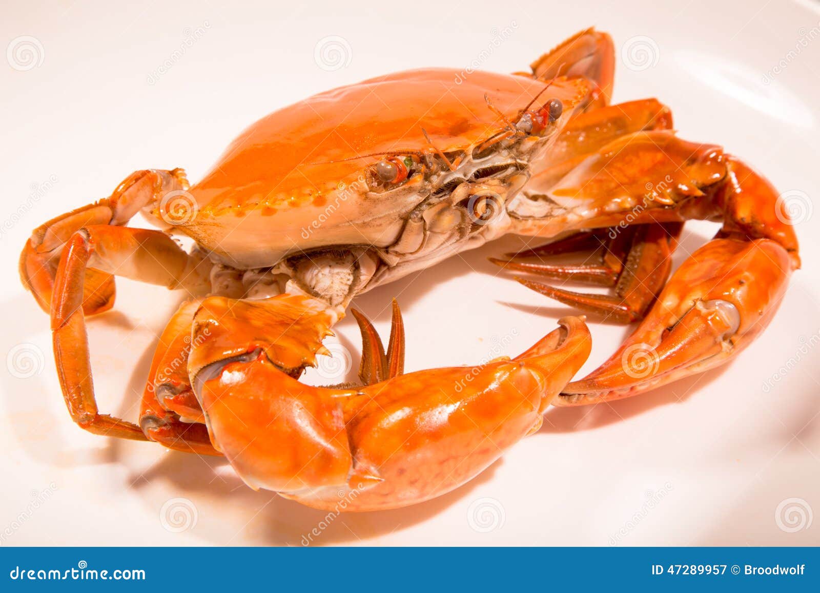 Chinese Meat Marinated Crabs Stock Image Image of crabs, diversity