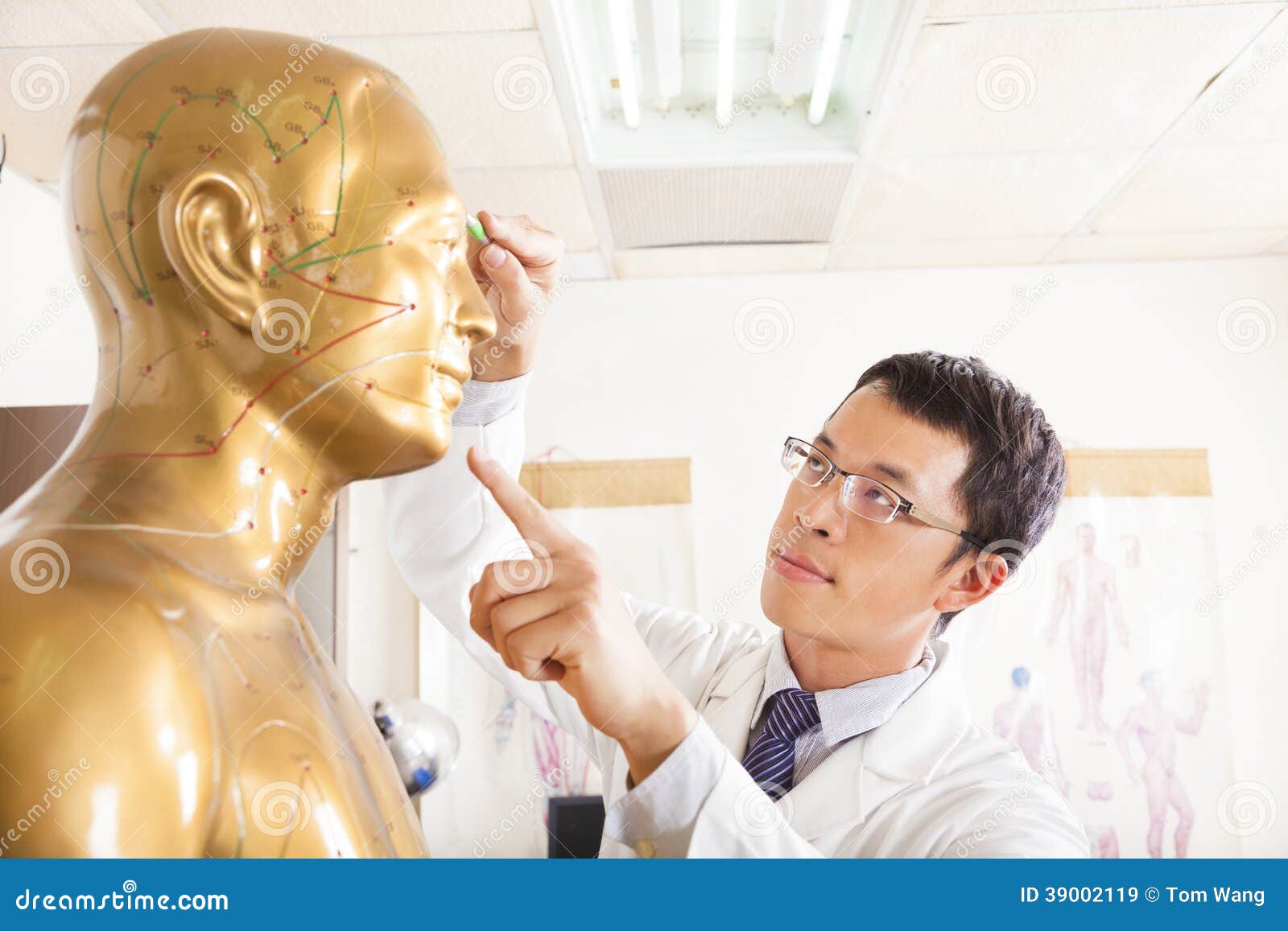 chinese medicine doctor point acupoint a model