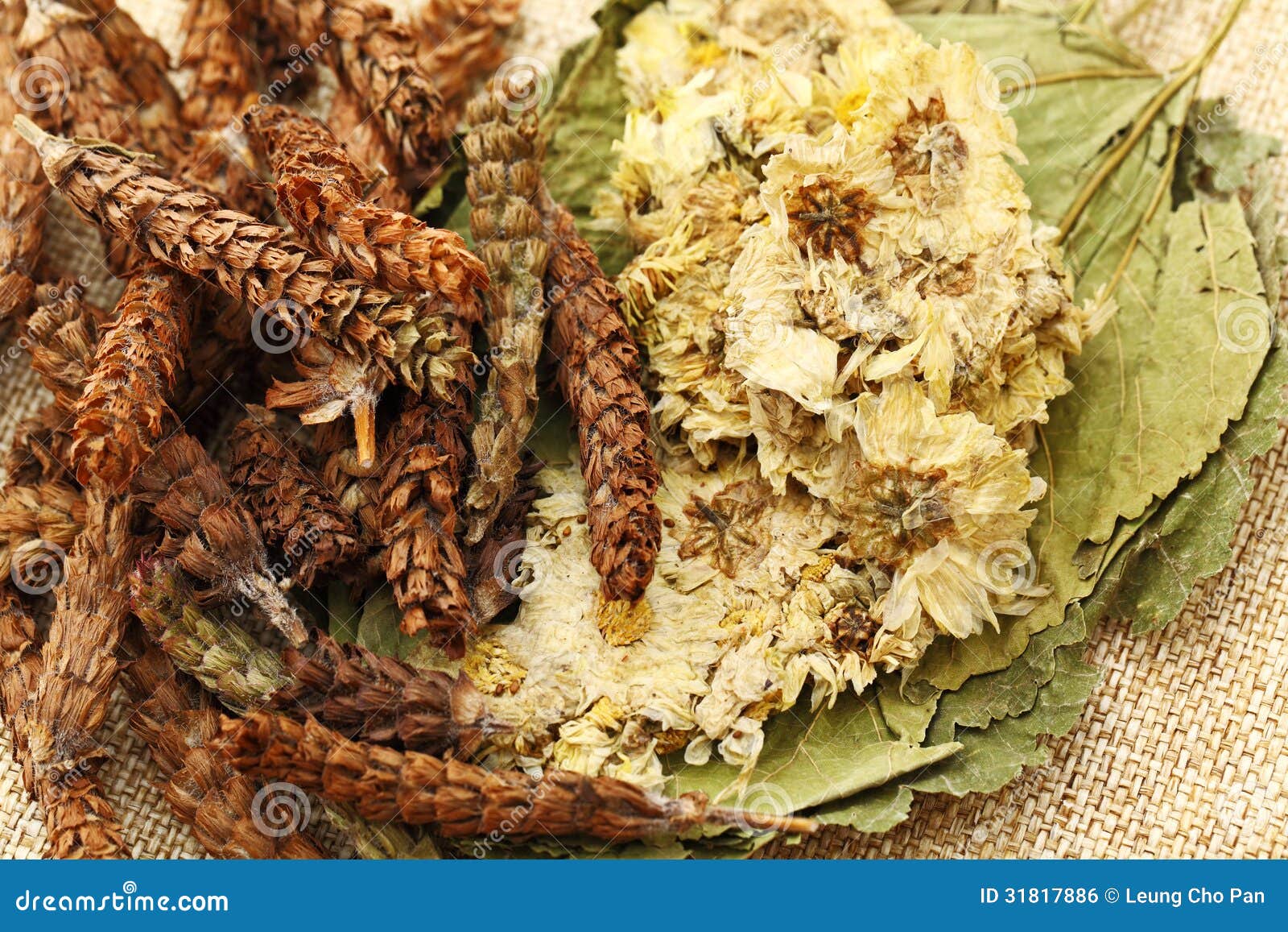 Chinese Medicine Herbal Tea Stock Photo Image of natural, heap 31817886