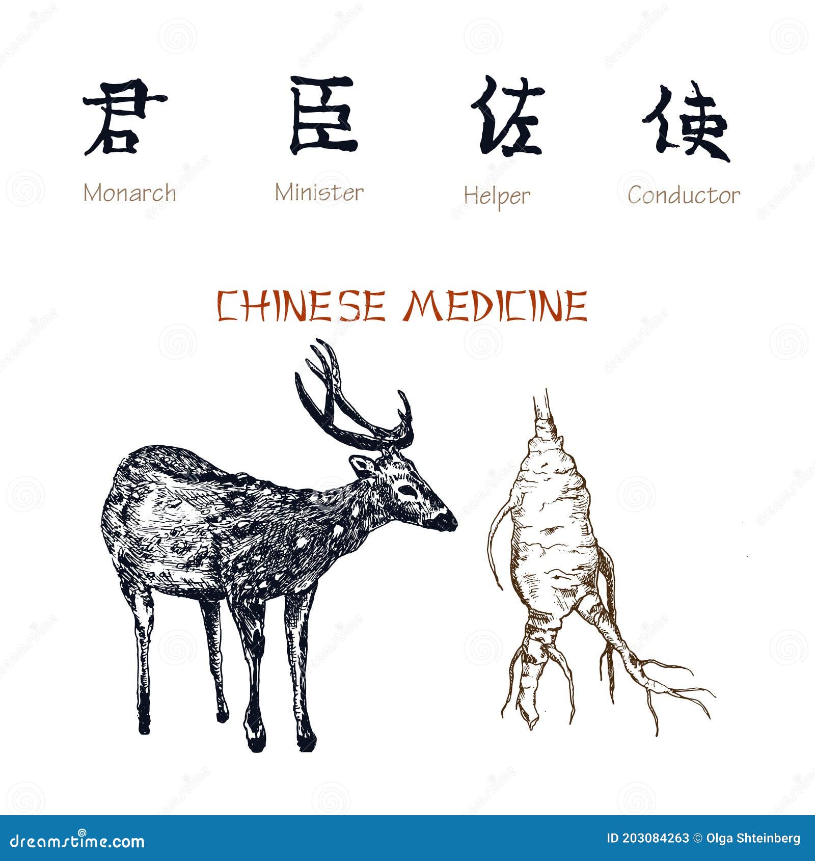 Chinese Medicine Ink Pen Sketch Isolated on White Background. Chinese Medical  Deer Antlers and Ginseng Root. Medical Stock Vector - Illustration of  cosmetics, ginseng: 203084263