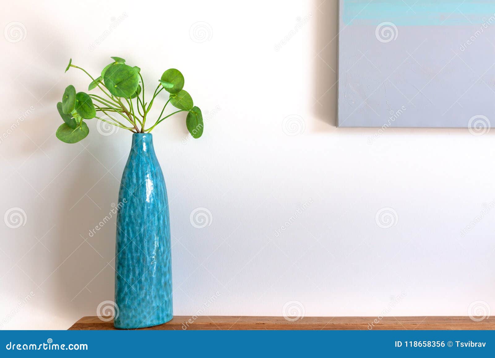 Chinese Money Plant in a Blue Vase. Stock Photo - Image of table, wall ...