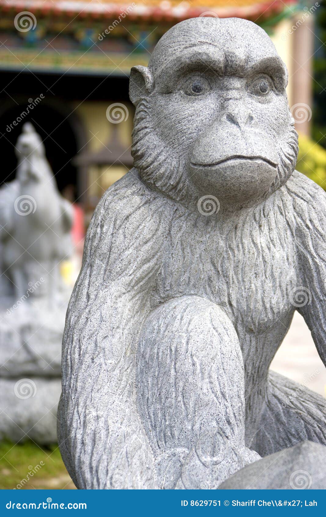 literature Monkeys and asian culture in