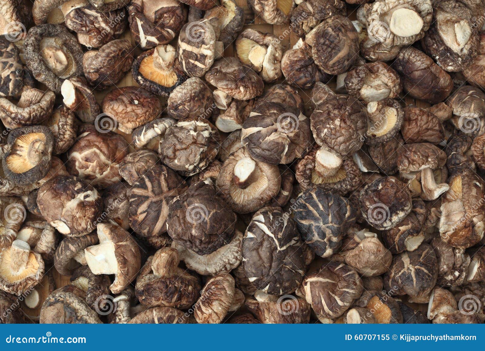 Chinese mushroom stock image. Image of traditional, soup 60707155