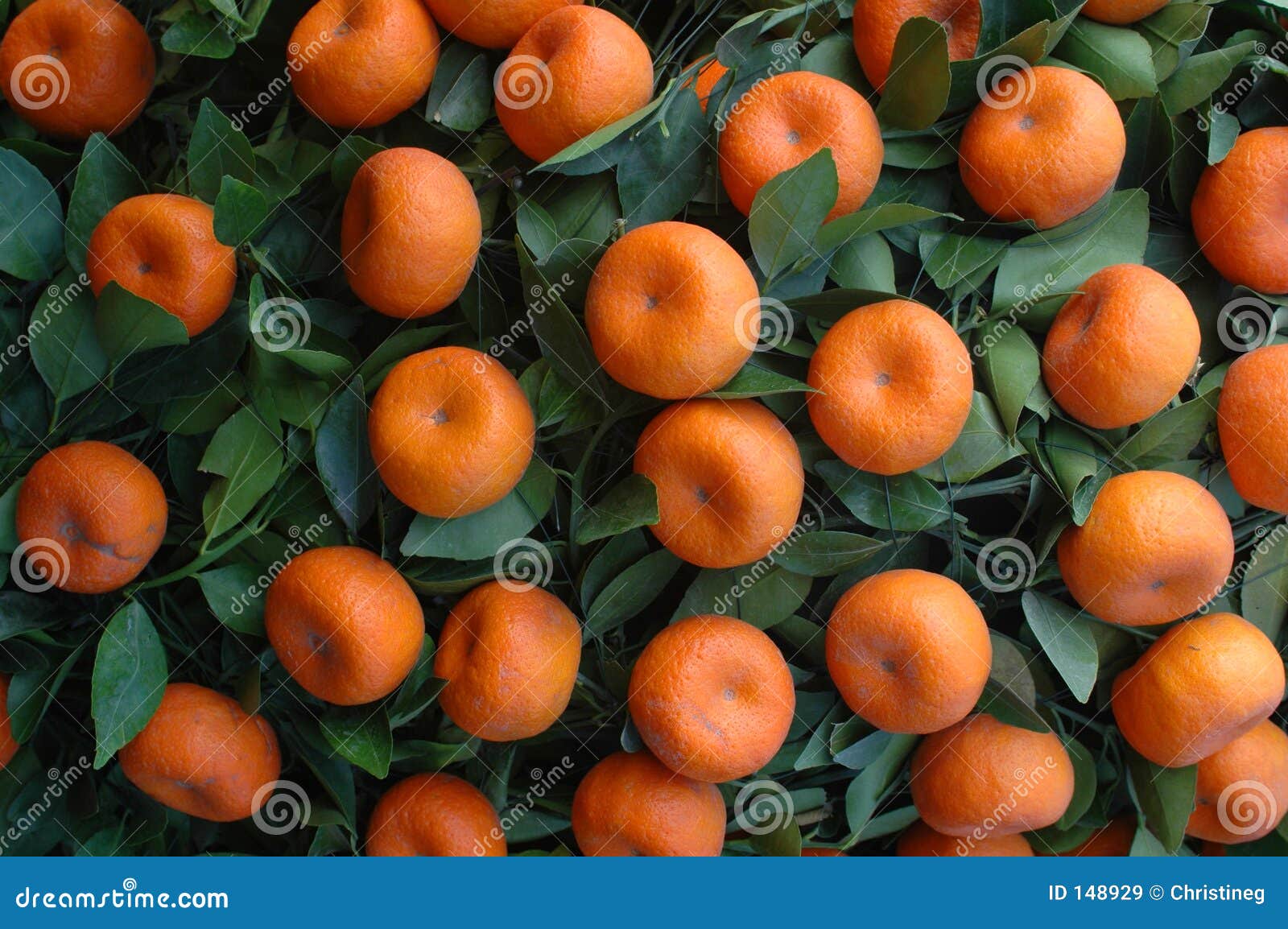 Tangerines and oranges chinese new year box hill chinese new year