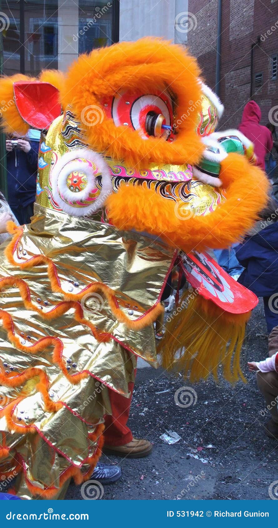 chinese new year lion pics
