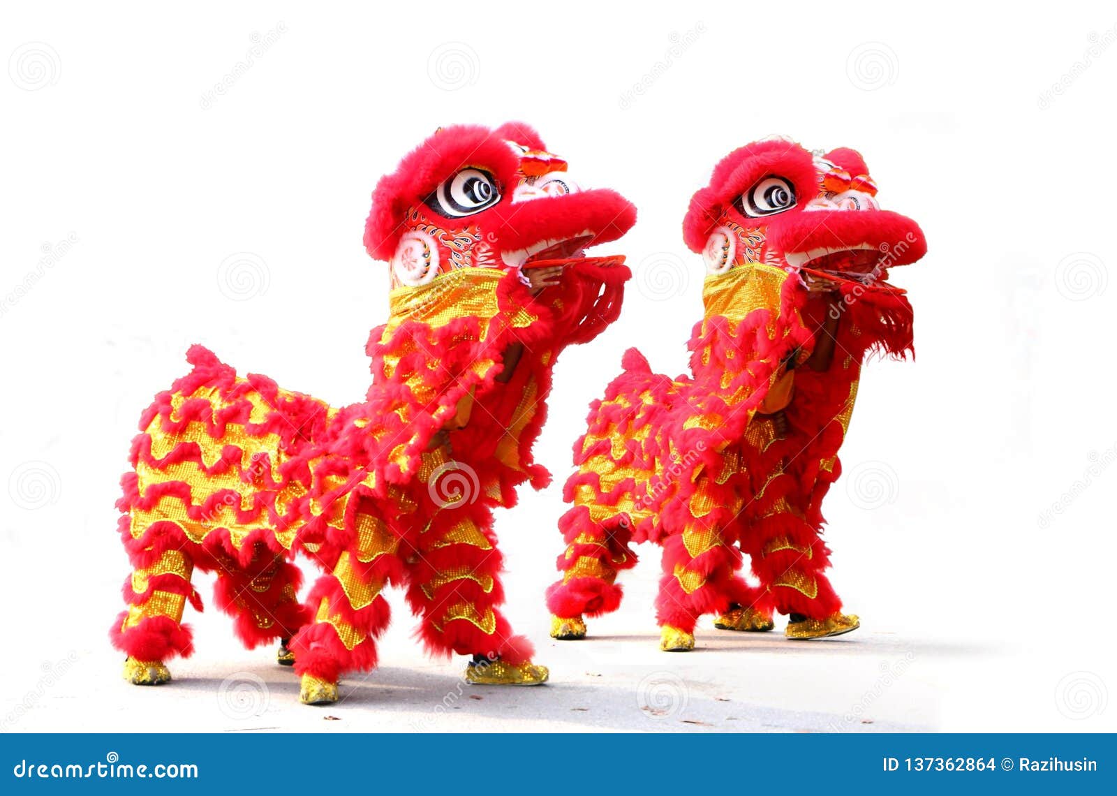 Chinese New Year Lion