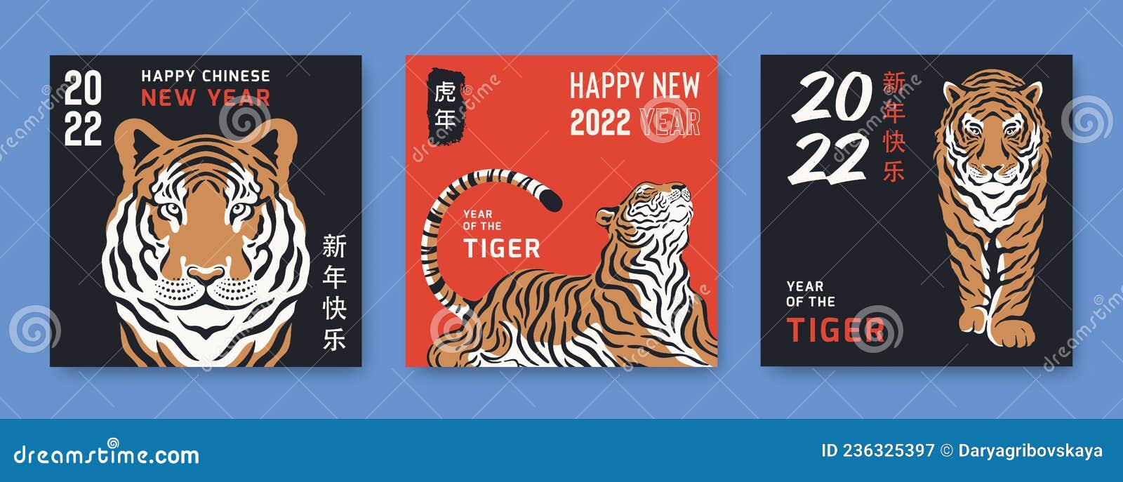 chinese new year 2022 with tiger s.  poster set for tradition asian festival. hieroglyphs mean  of the