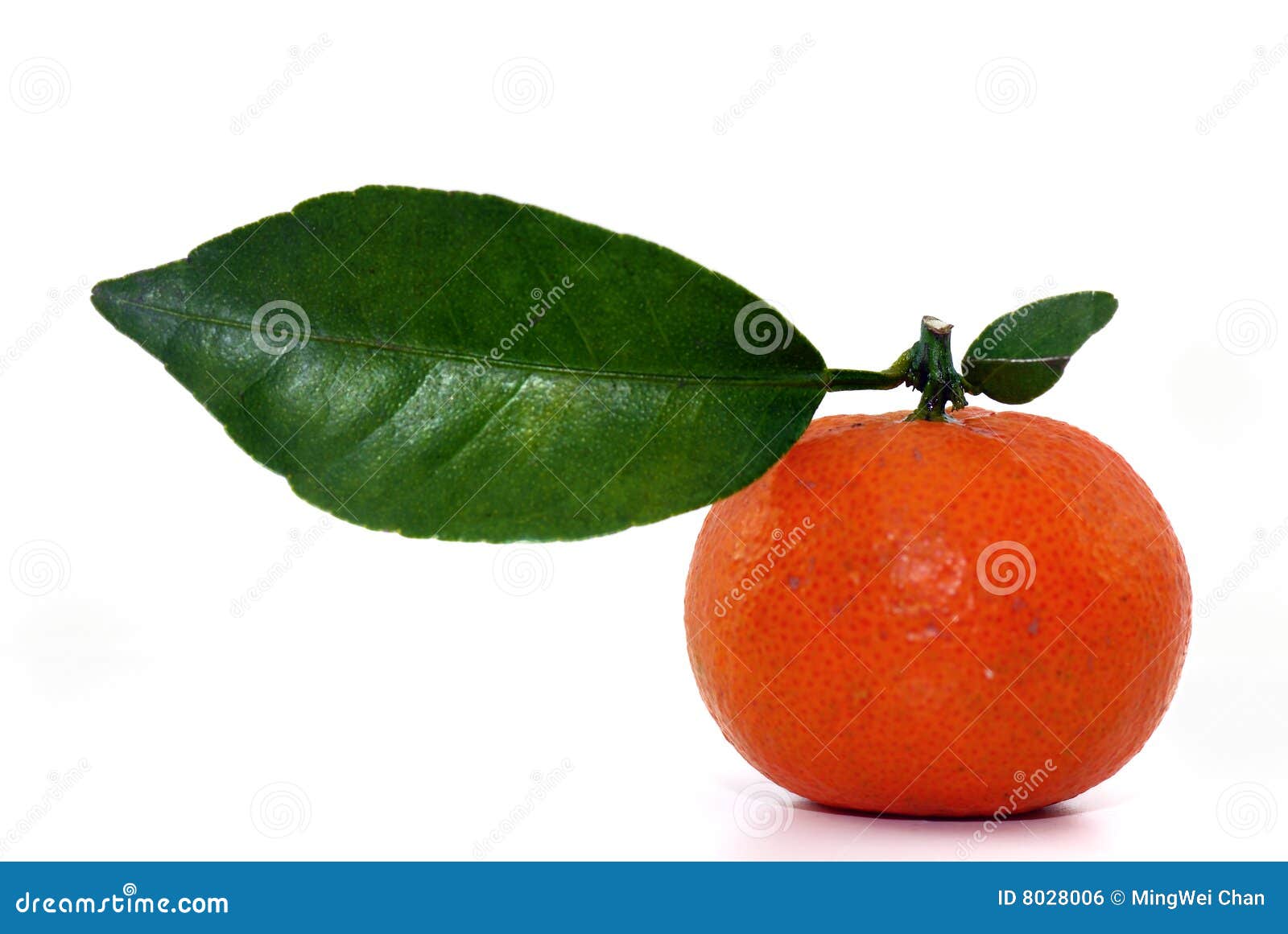 Chinese Orange Picture. Image 8028006