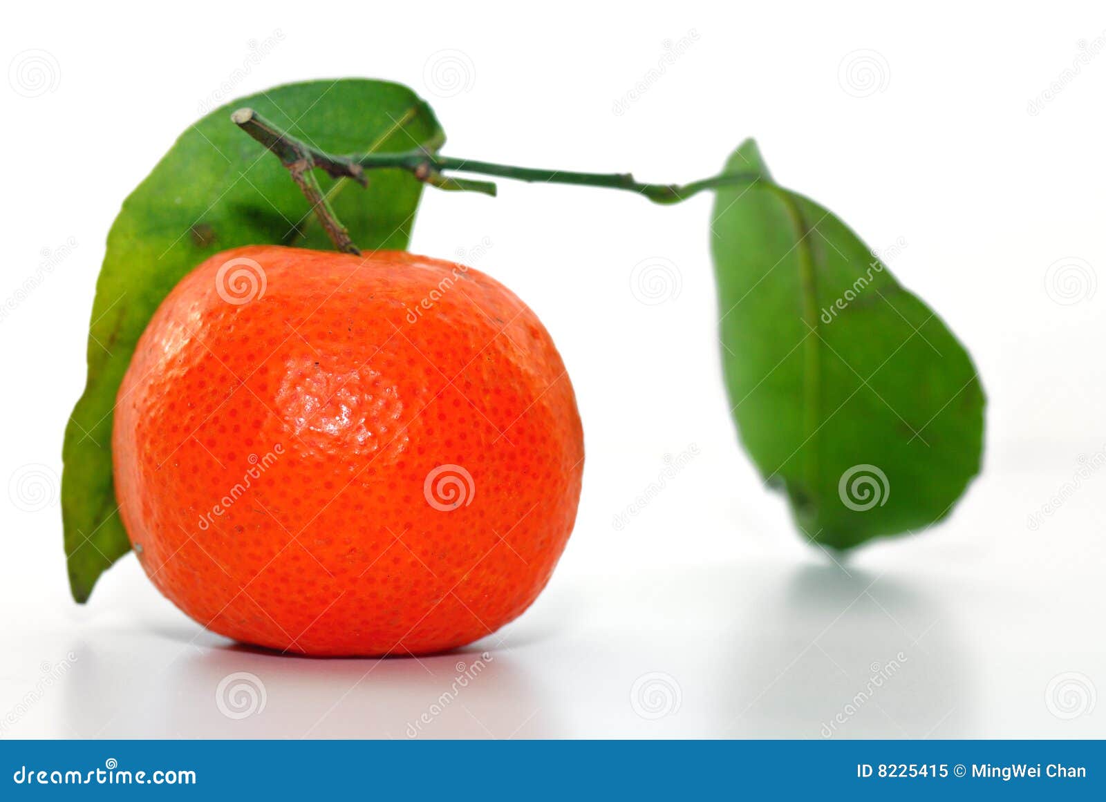 Chinese Orange stock image. Image of leaf, china, isolated 8225415