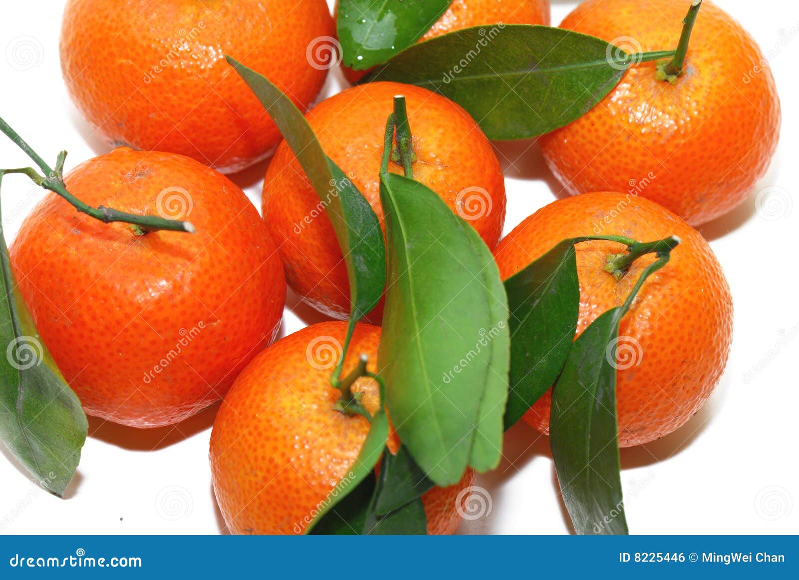 Chinese Orange stock photo. Image of leaf, eating, healthy 8225446