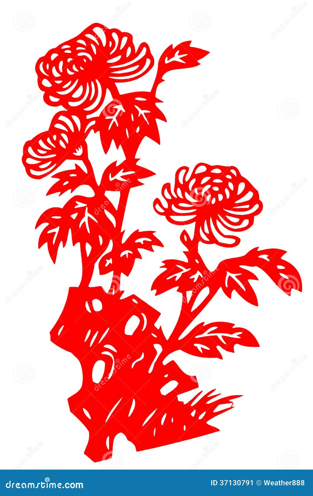 Chinese Papercut Chrysanthemum Stock Image Image of patterns, piture