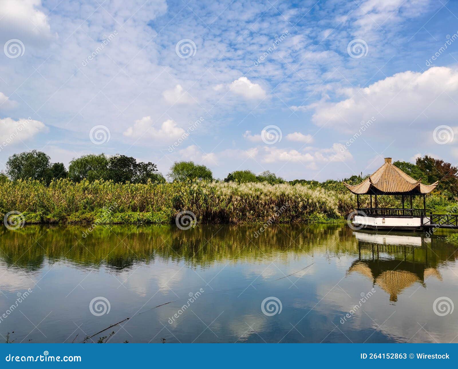 chinese pavilion in the shajiabang national wetland park on a sunny day