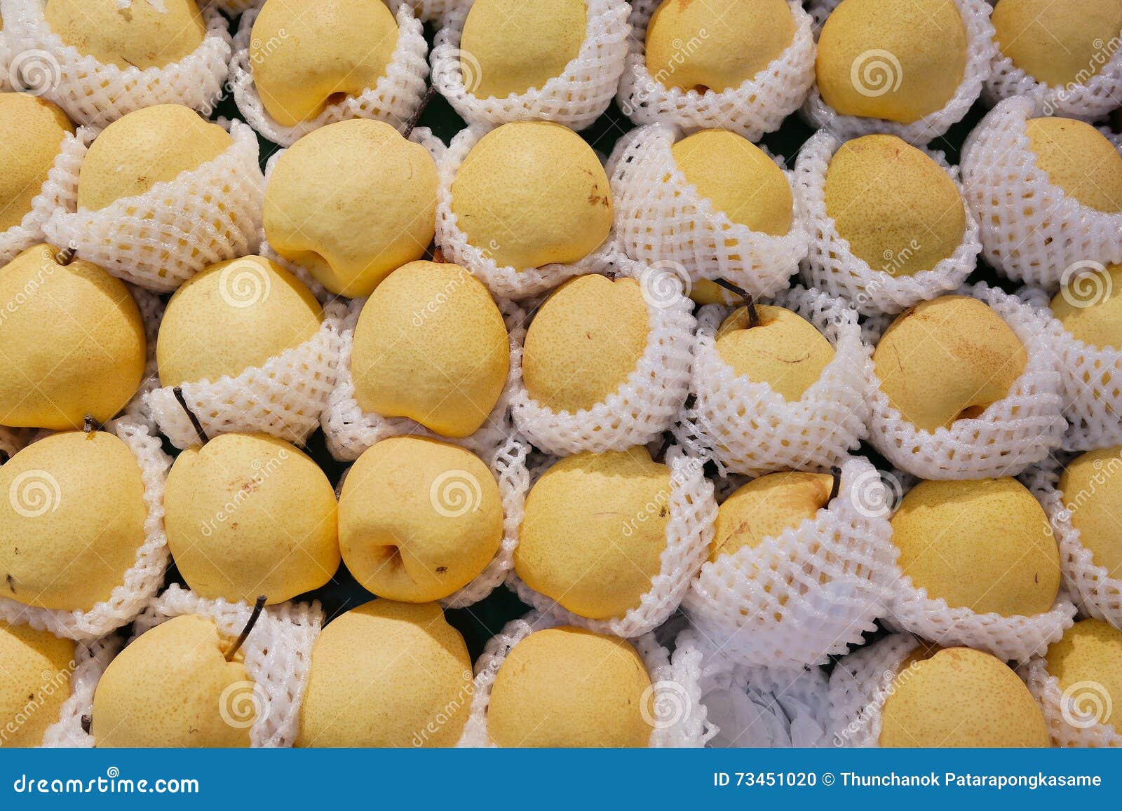 Chinese pear stock photo. Image of vitamin, pears, japanese 73451020