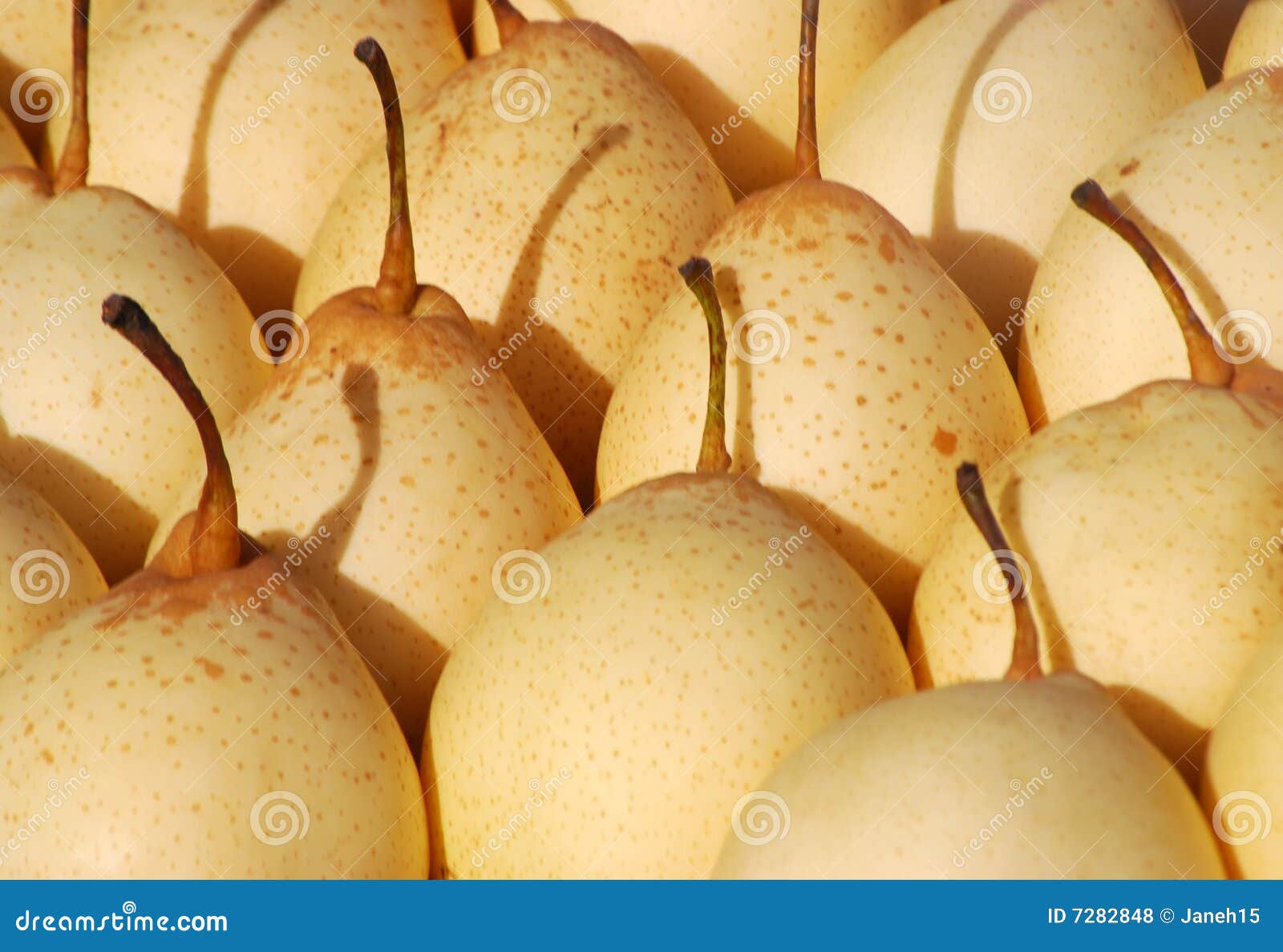 Chinese Pears stock photo. Image of healthy, appetizing 7282848