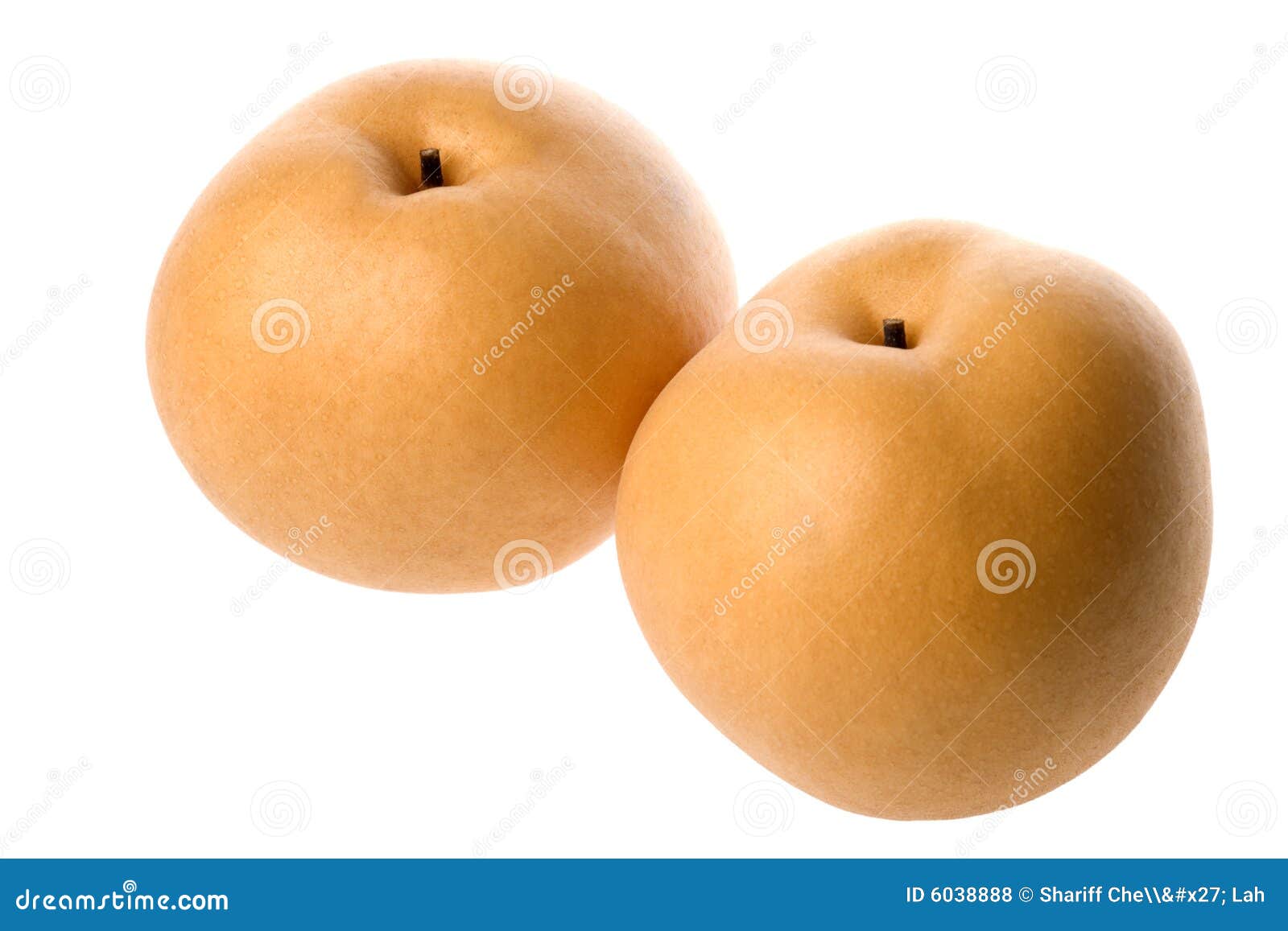 Chinese Pears Isolated stock photo. Image of sour, closeup 6038888