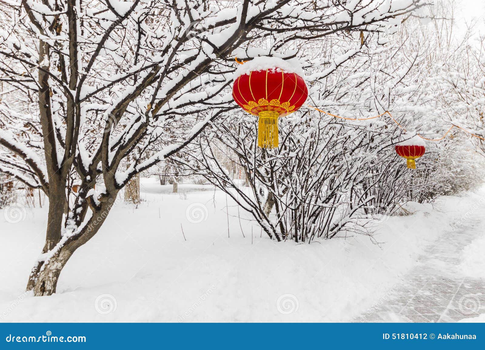 chinese red lantern northeast snow tree