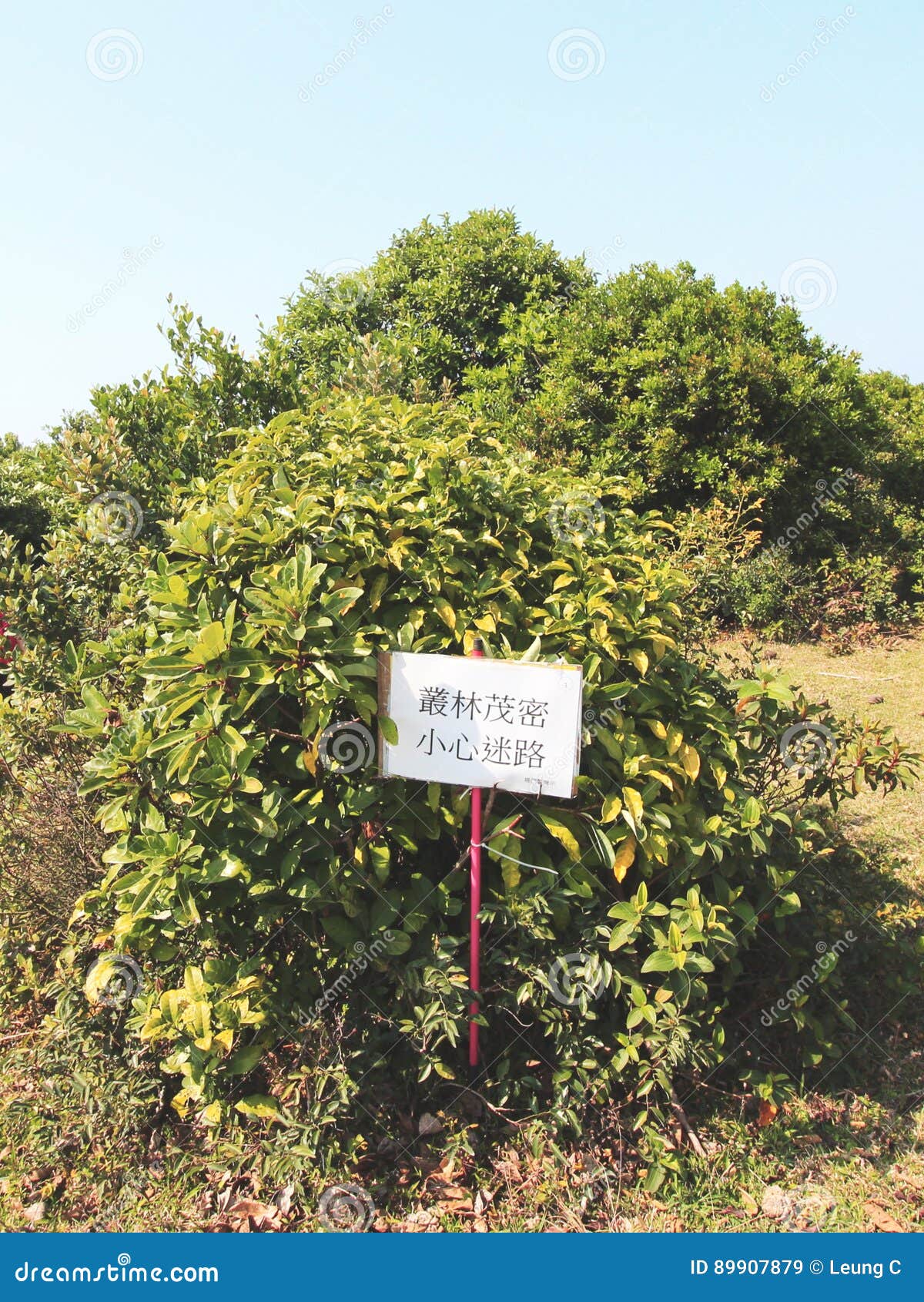 A Chinese reminder stock image. Image of reminder, green 89907879