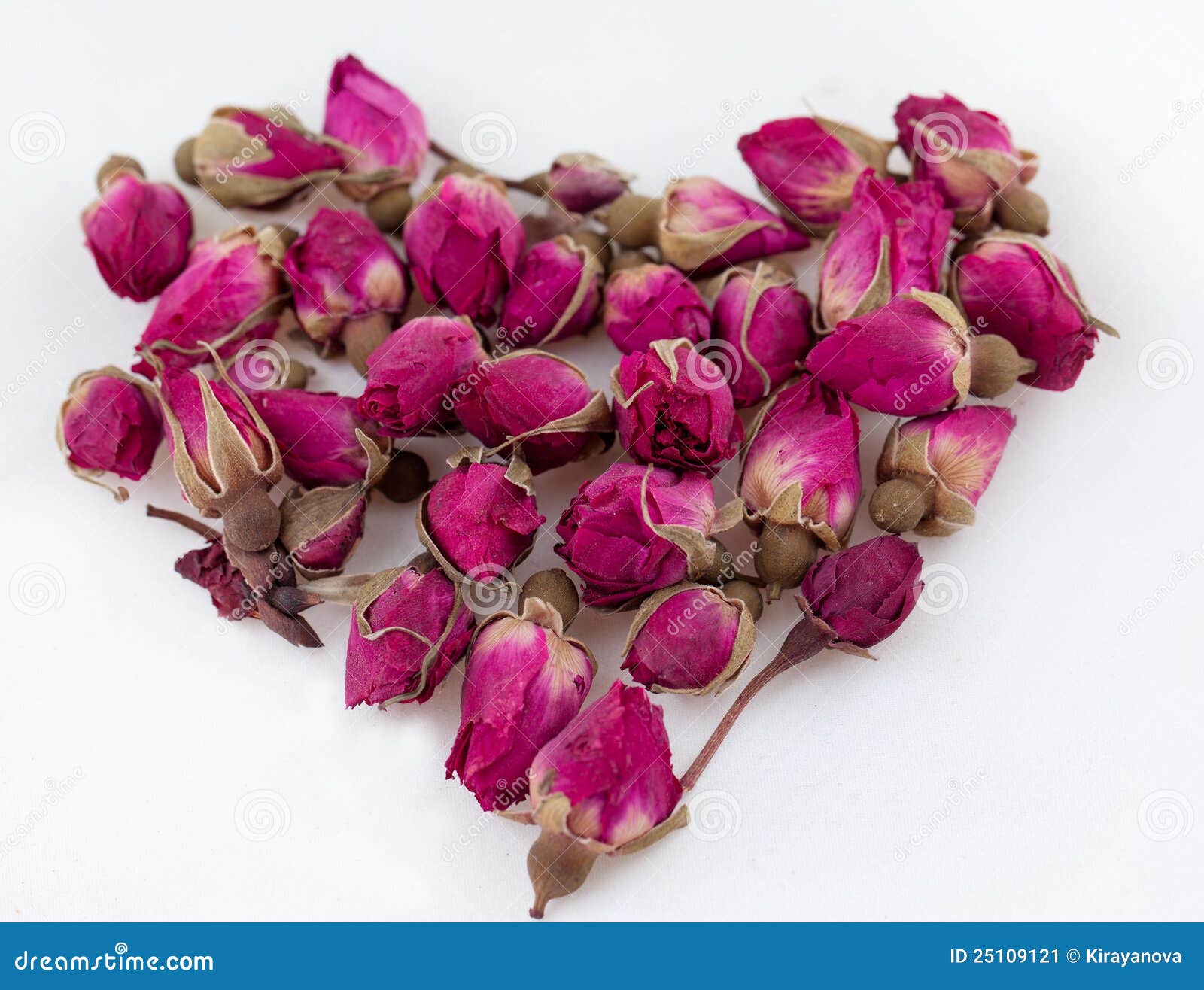 The Chinese Roses for a Tea Stock Image Image of indoors, studio