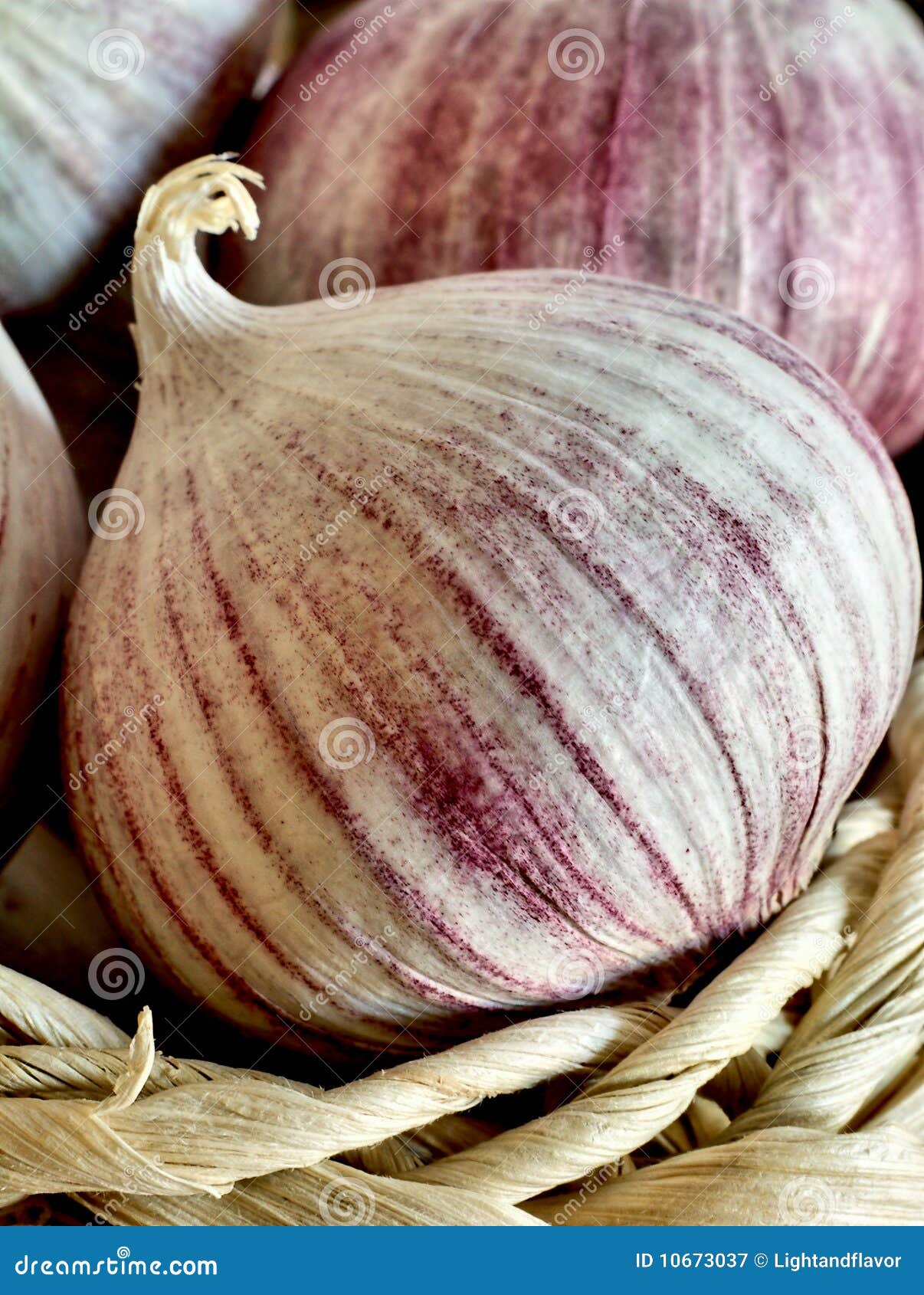 Chinese Single Clove Garlic in a Basket Stock Image Image of purple