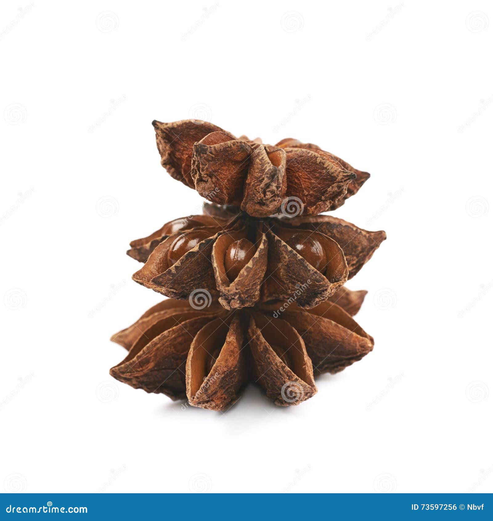 Chinese Star Anise Seed Isolated Stock Photo Image of macro, illicium