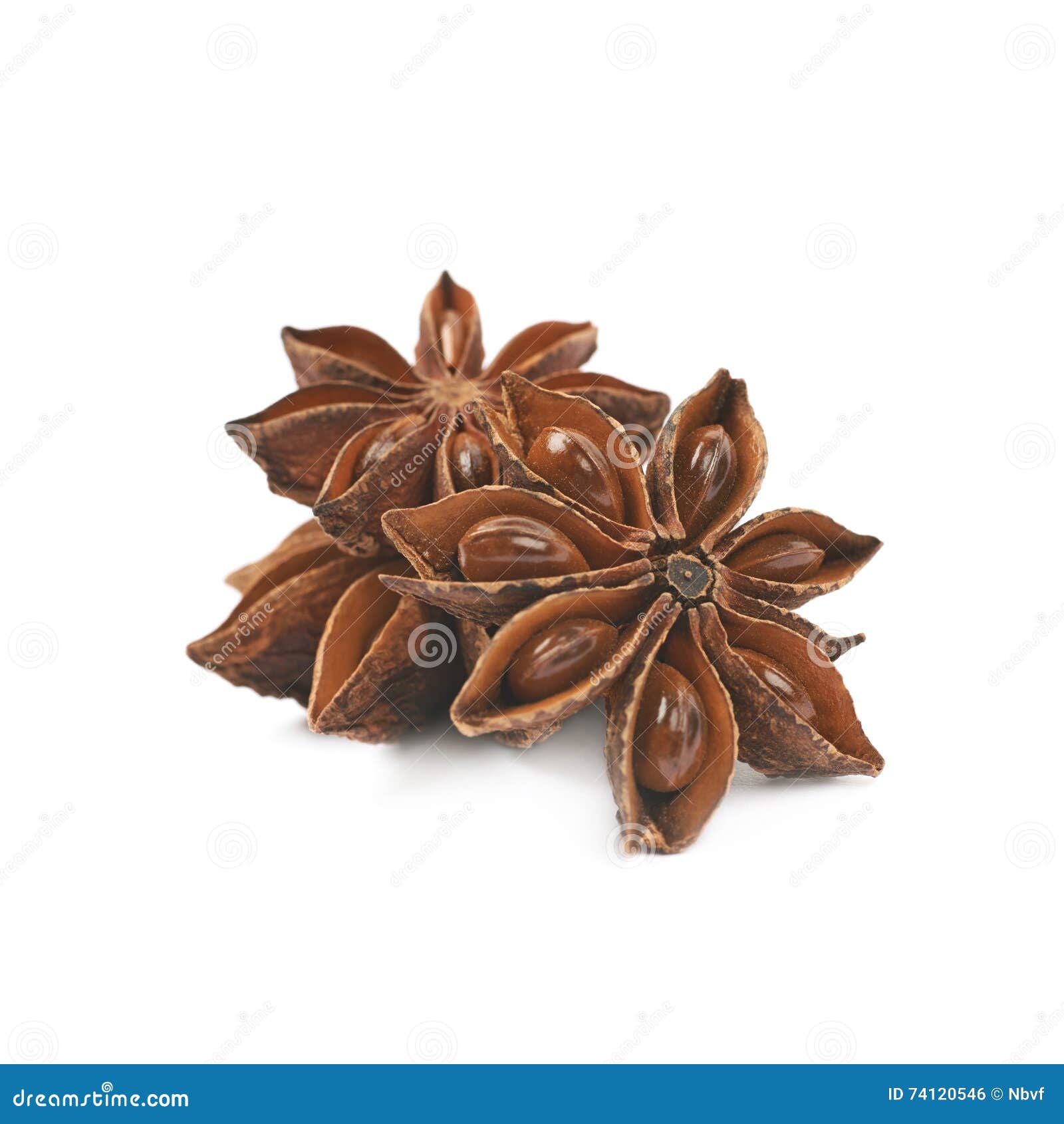 Chinese Star Anise Seed Isolated Stock Photo Image of color, plant