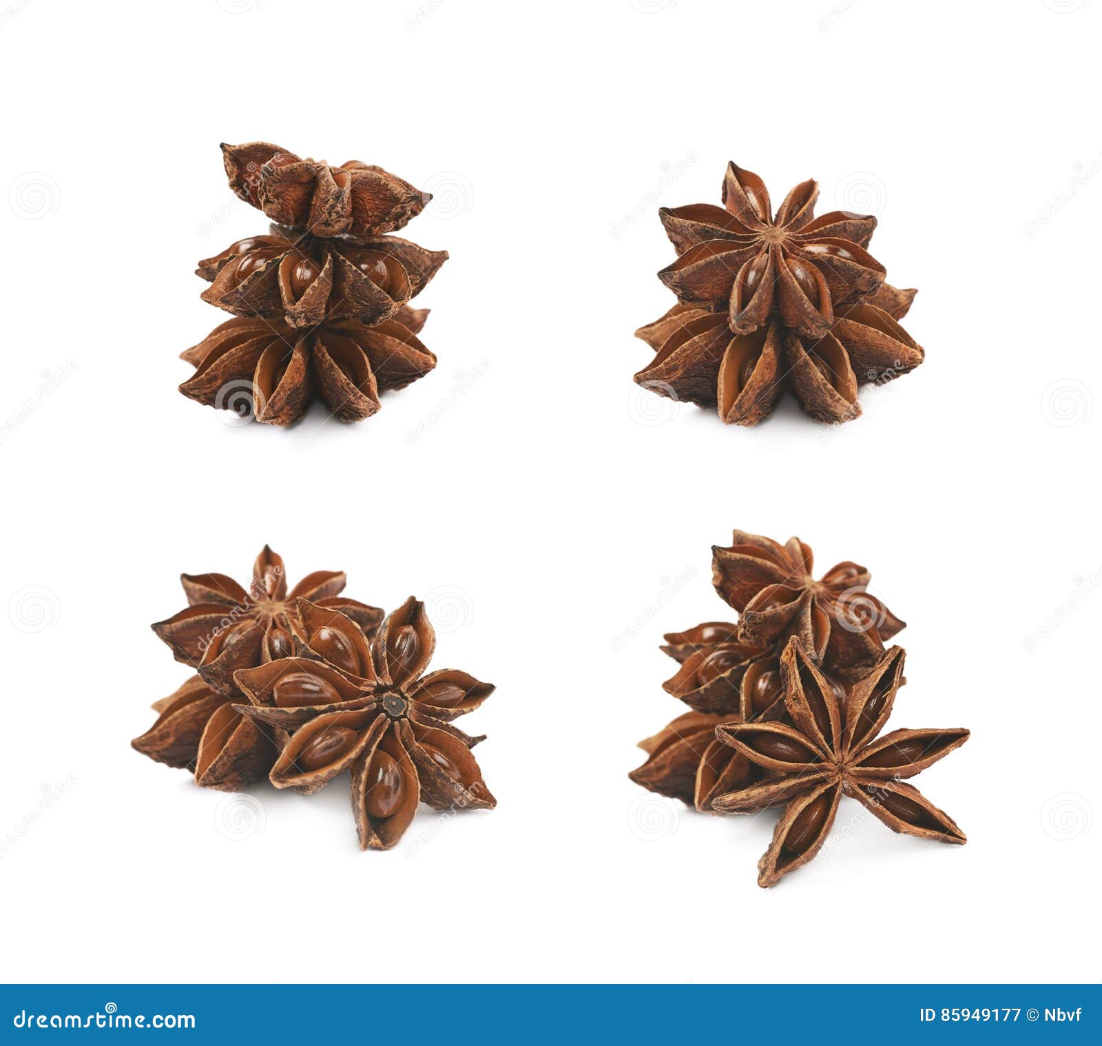 Chinese Star Anise Seed Isolated Stock Image Image of schisandraceae