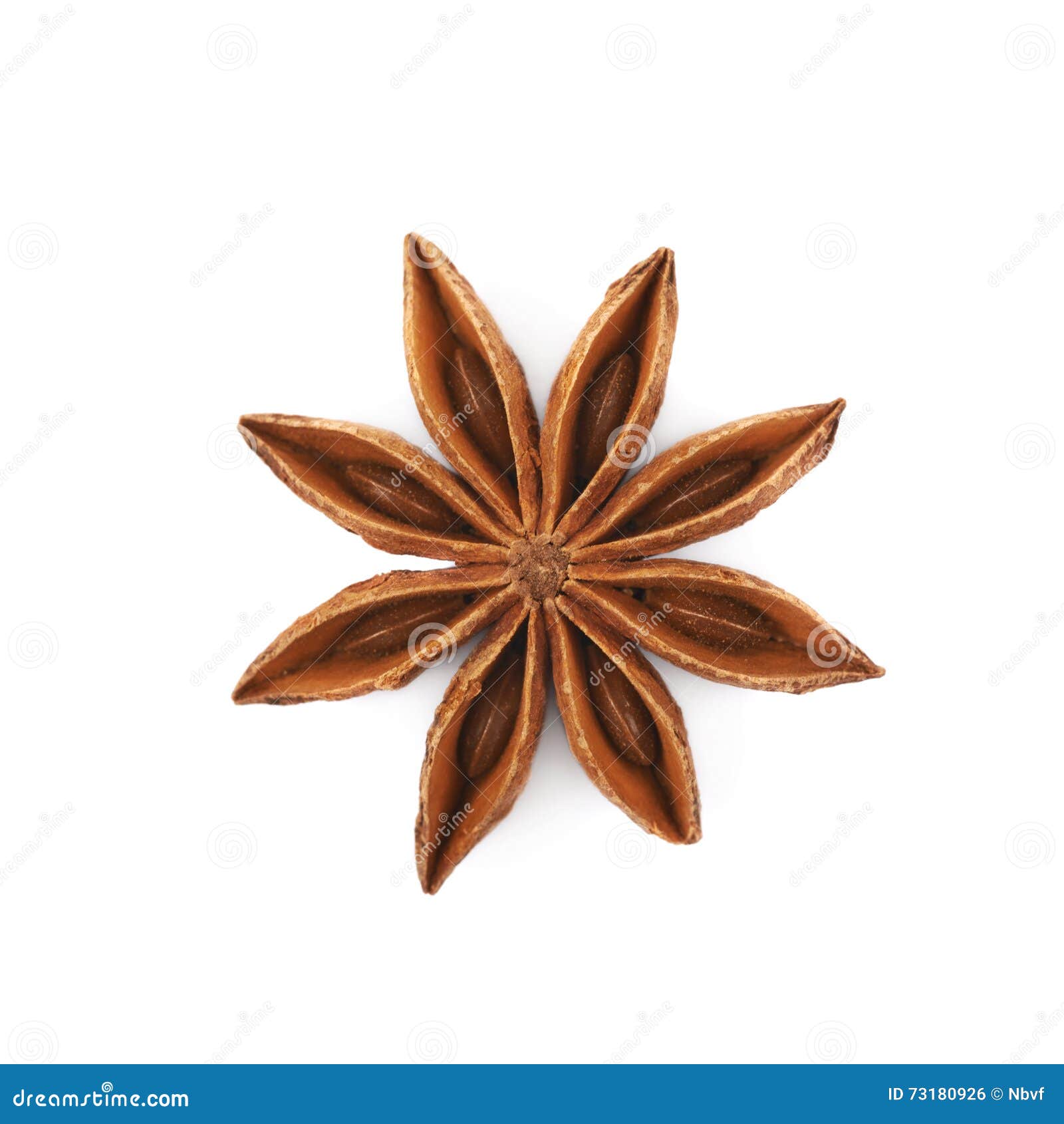 Chinese Star Anise Seed Isolated Stock Photo Image of leaf, evergreen