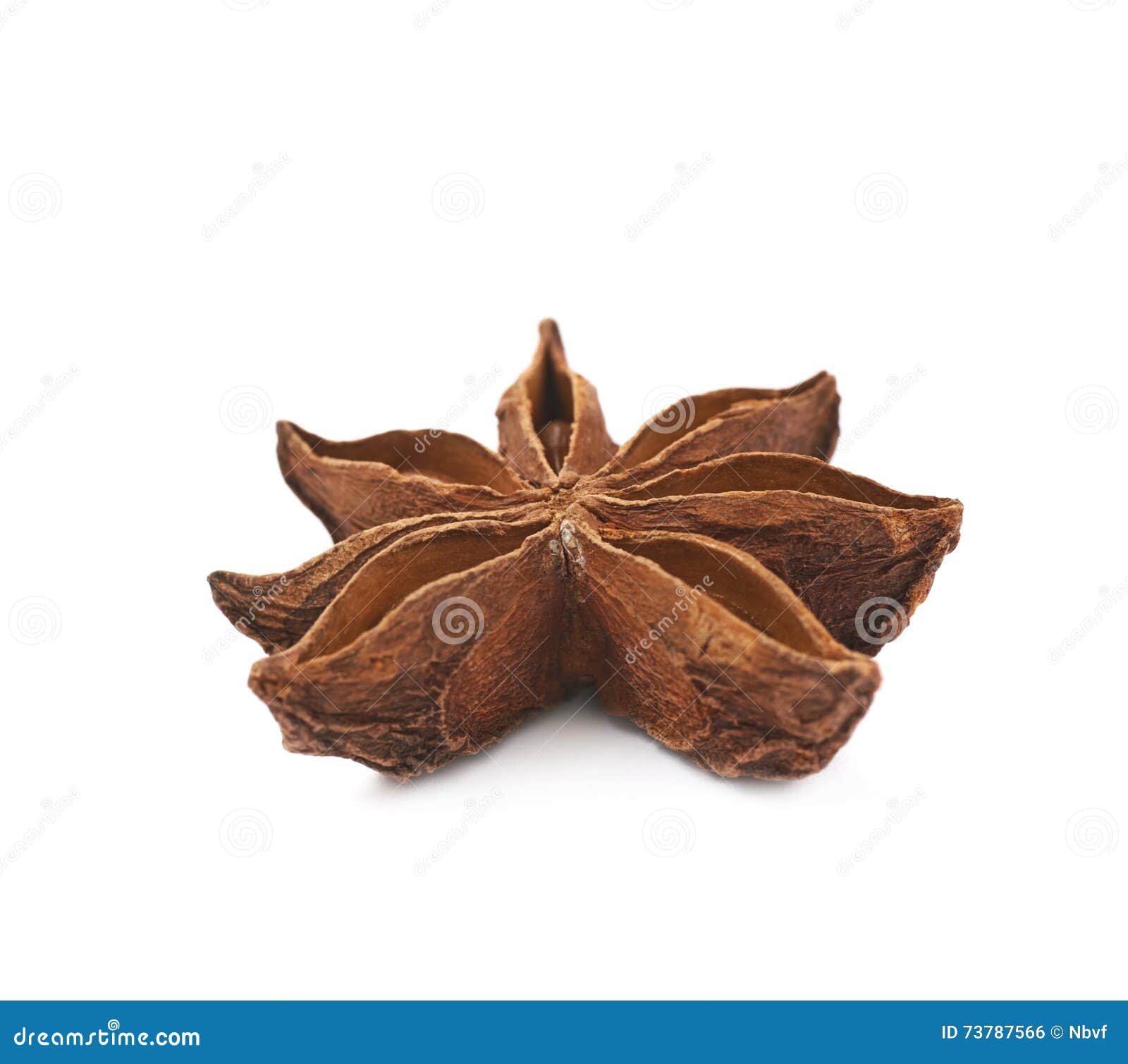 Chinese Star Anise Seed Isolated Stock Photo Image of cooking, seed