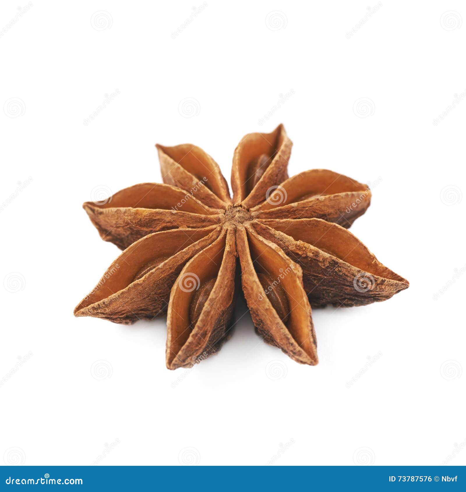 Chinese Star Anise Seed Isolated Stock Photo Image of macro, isolated