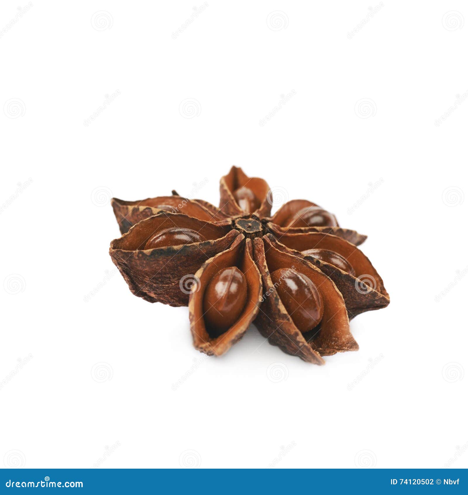 Chinese Star Anise Seed Isolated Stock Photo Image of dried, plant