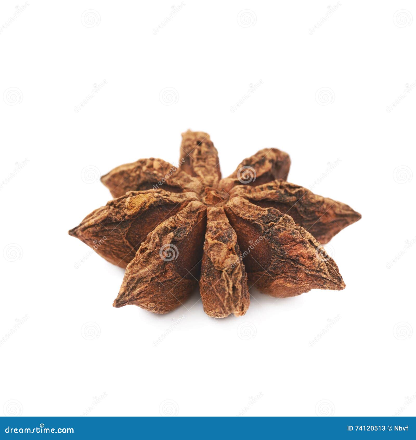 Chinese Star Anise Seed Isolated Stock Image Image of macro, herbal