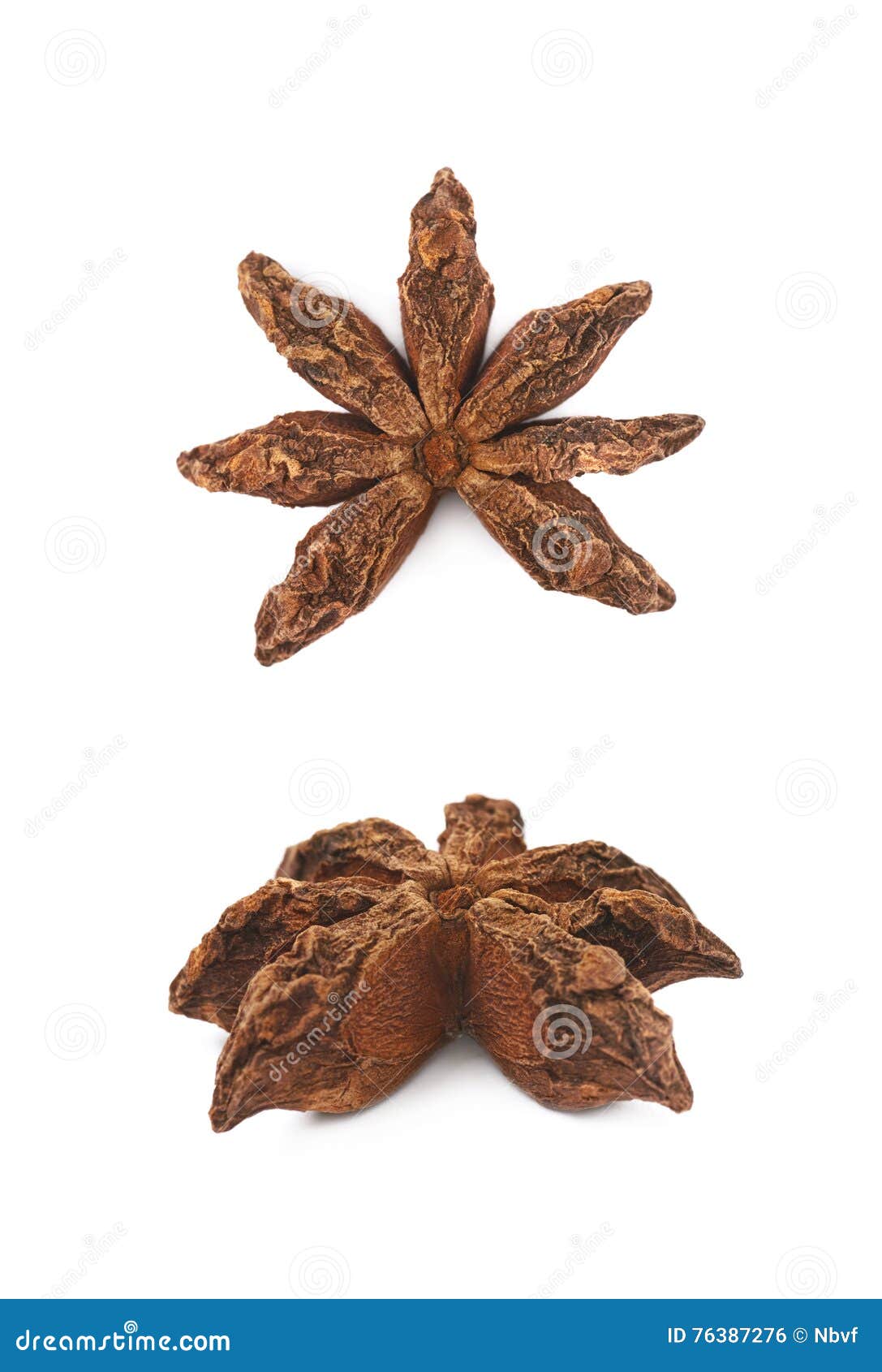 Chinese Star Anise Seed Isolated Stock Photo Image of cooking, leaf
