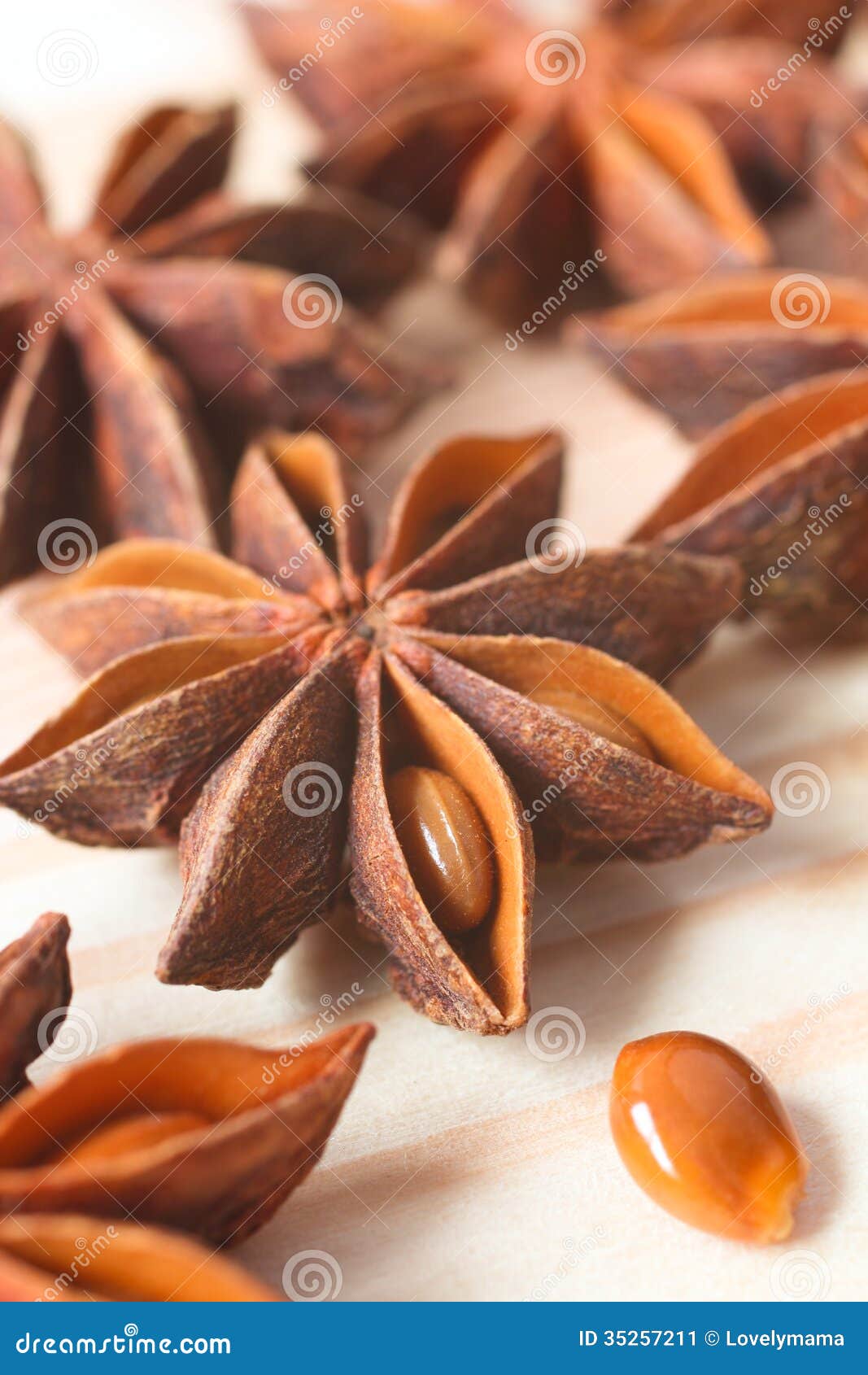Chinese star aniseed stock image. Image of taste, natural 35257211