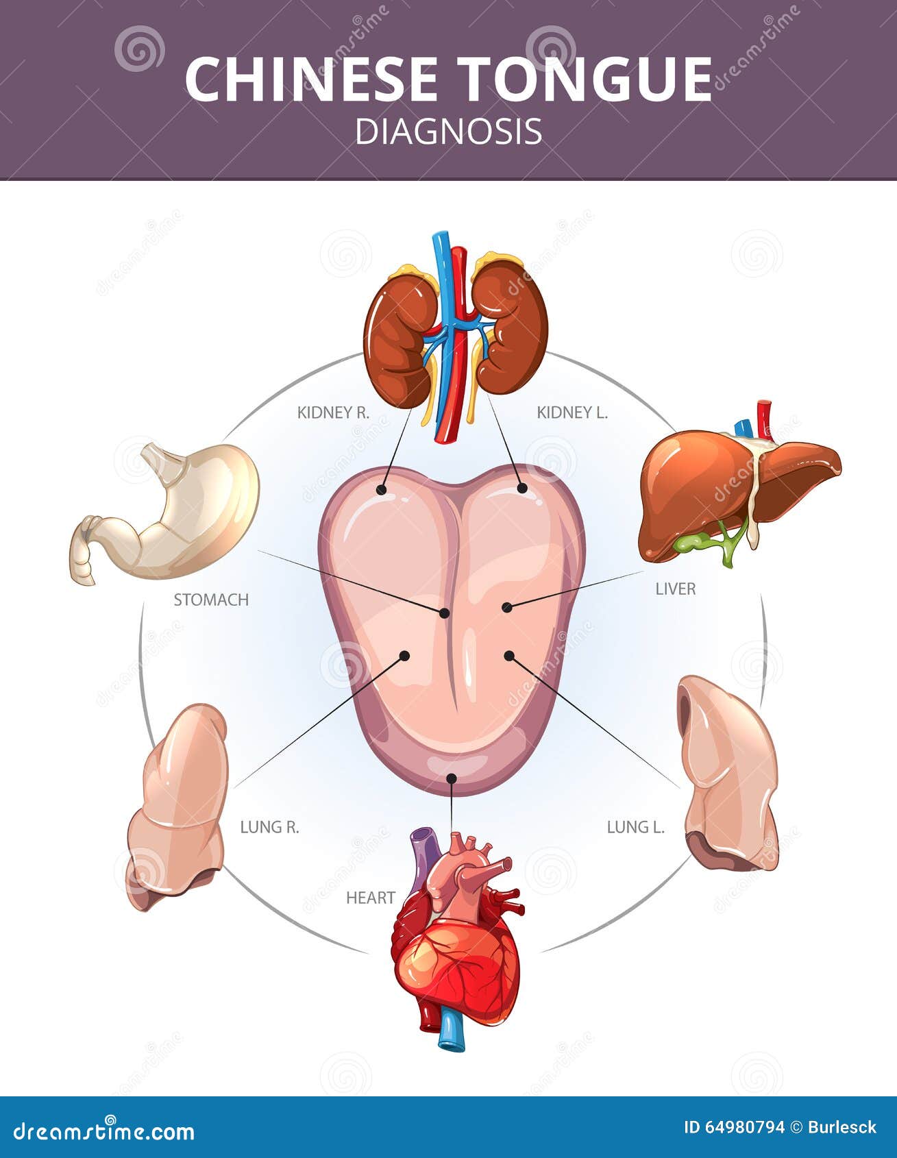 Tongue Chinese Medicine Chart