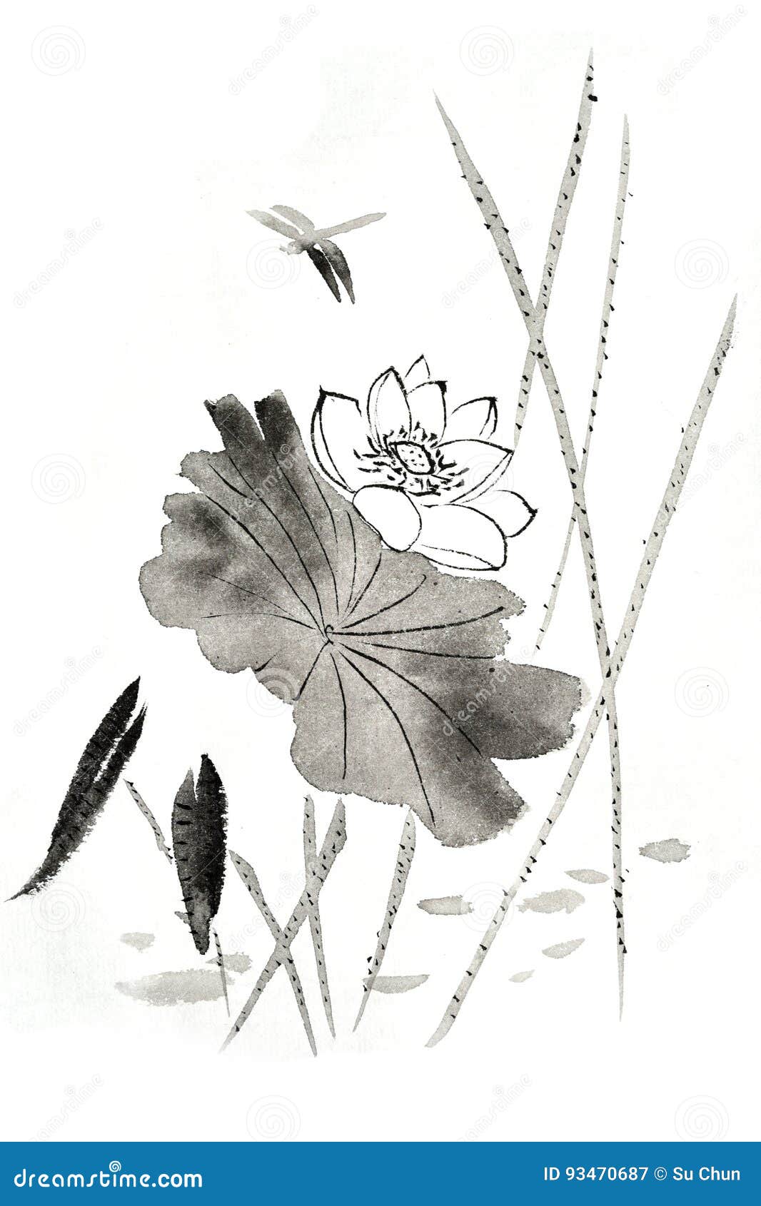 chinese traditional distinguished gorgeous decorative hand-painted ink-water lily