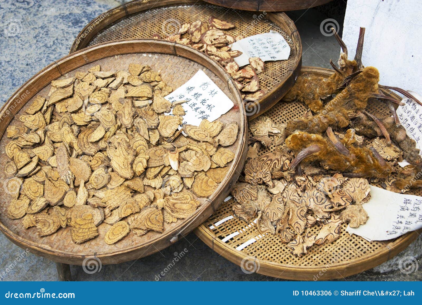 Chinese Traditional Medicine Tree Barks Stock Photo Image of plant