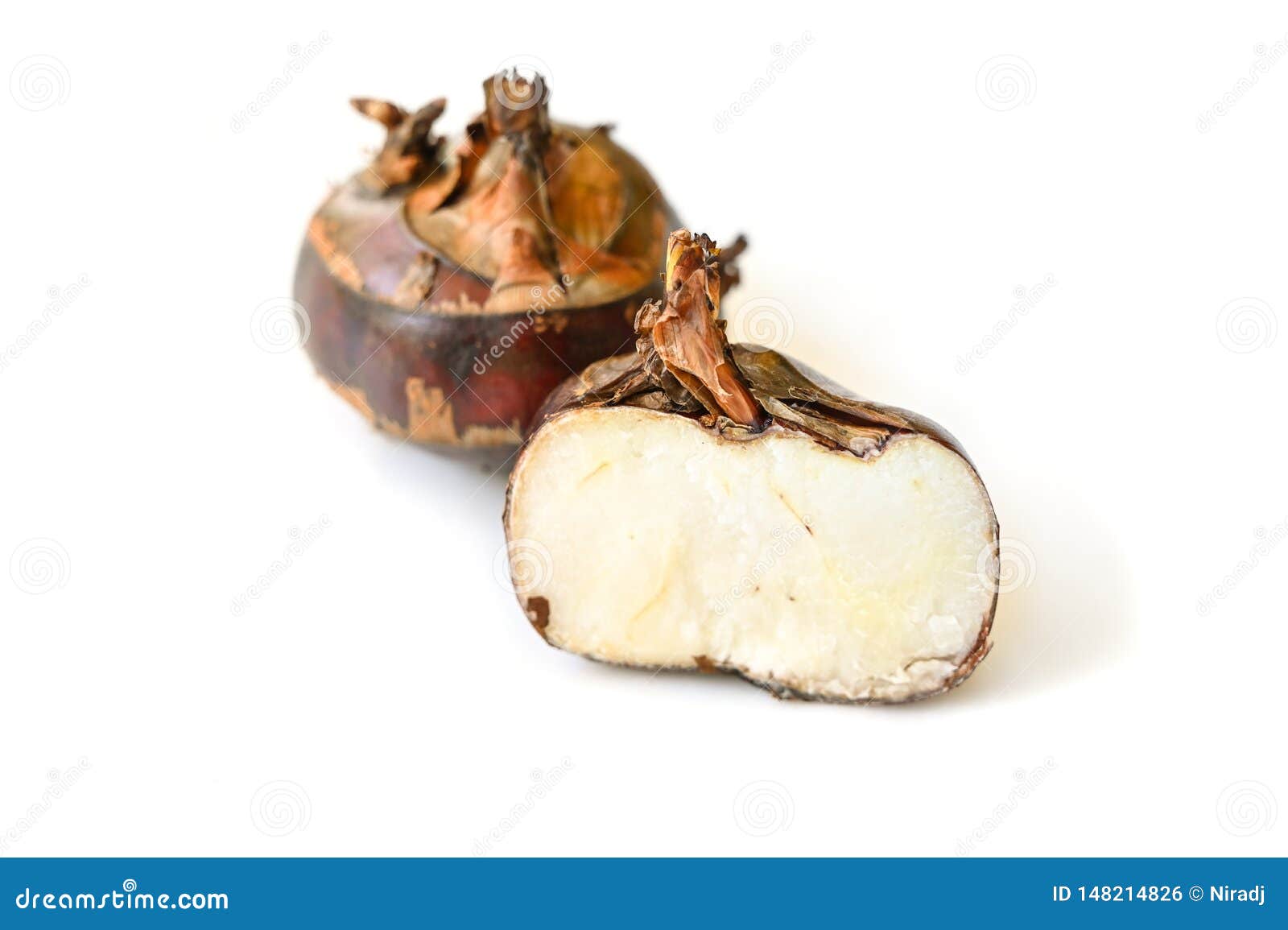 Chinese Water Chestnut on White Background Stock Photo Image of