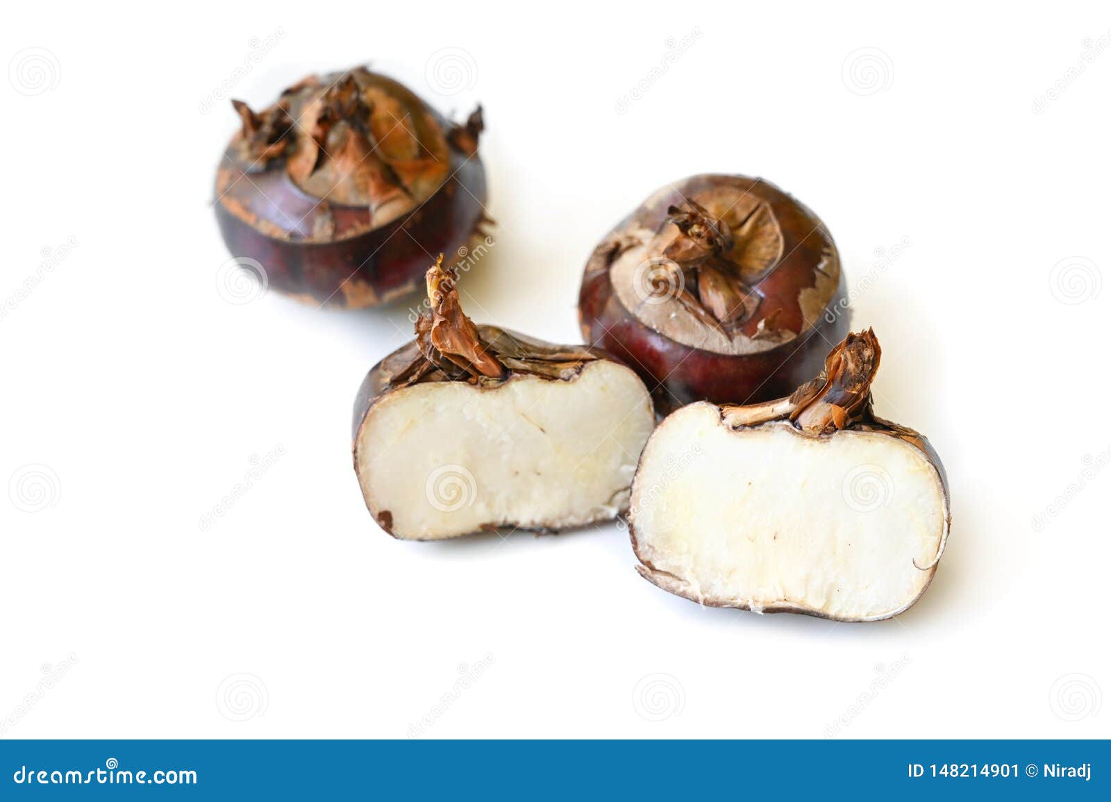 Chinese Water Chestnut on White Background Stock Image Image of corm