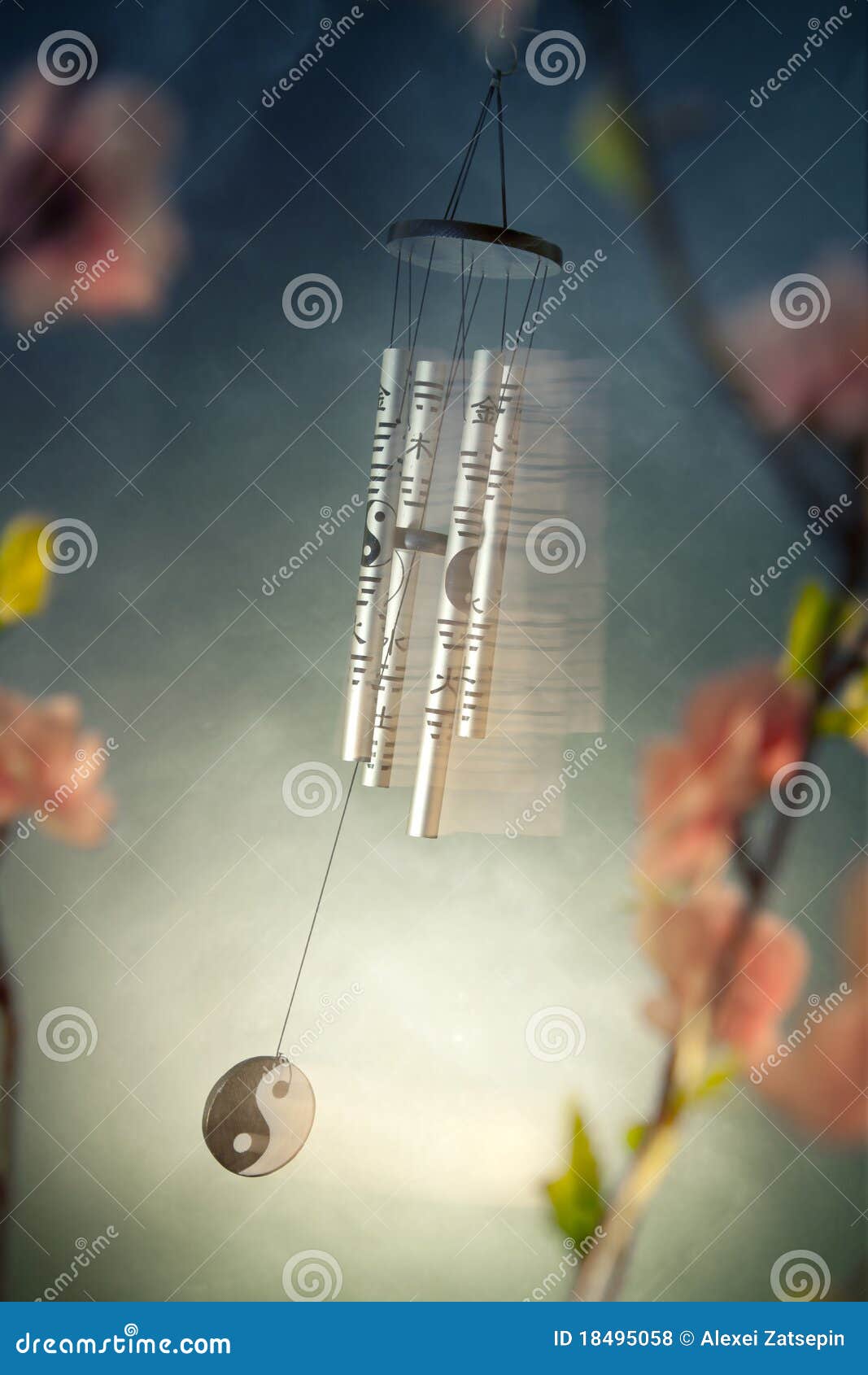 Chinese Wind Chimes with Sakura Flowers Stock Photo Image of doorbell